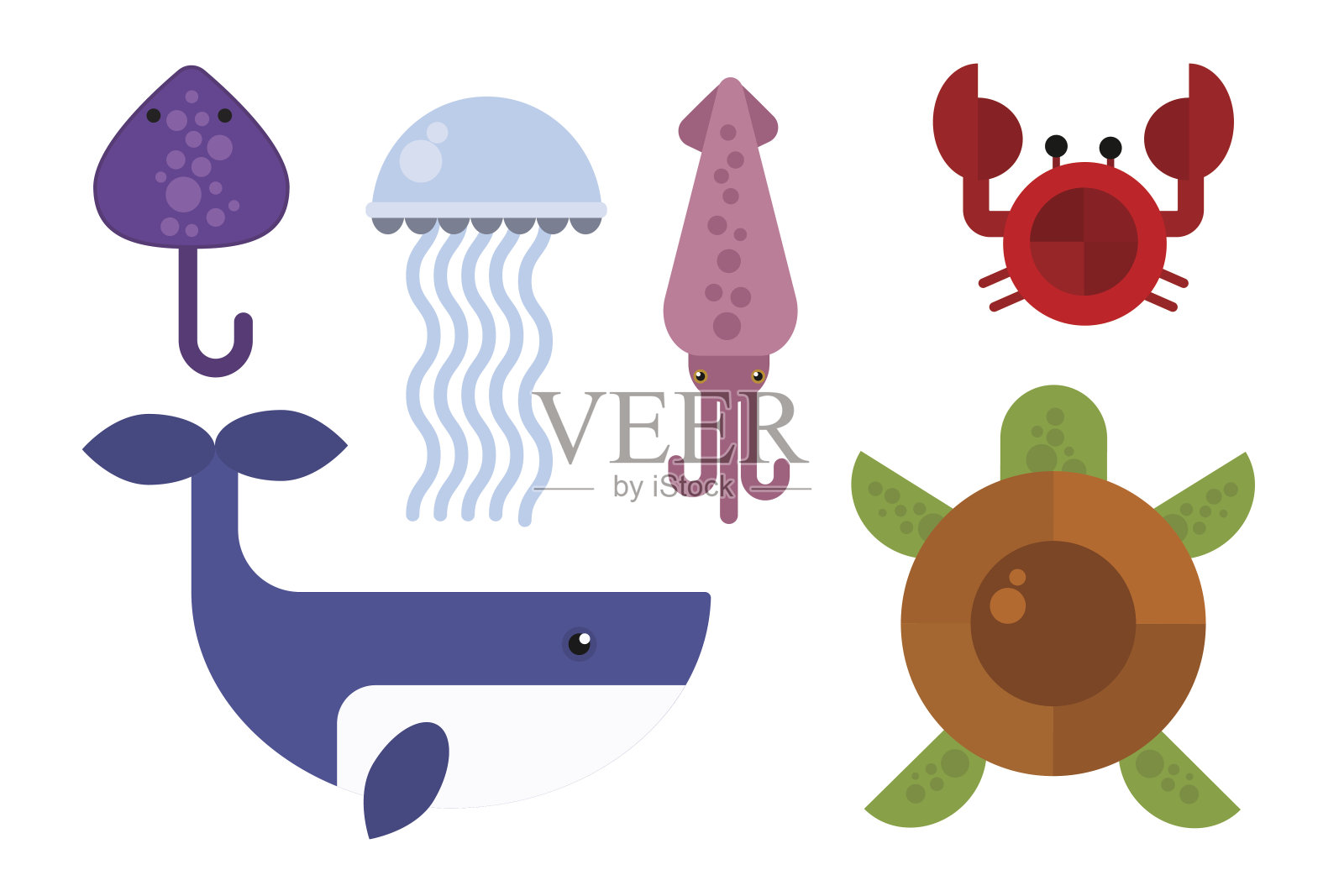 海洋动物海洋生物特征矢量插图插画图片素材