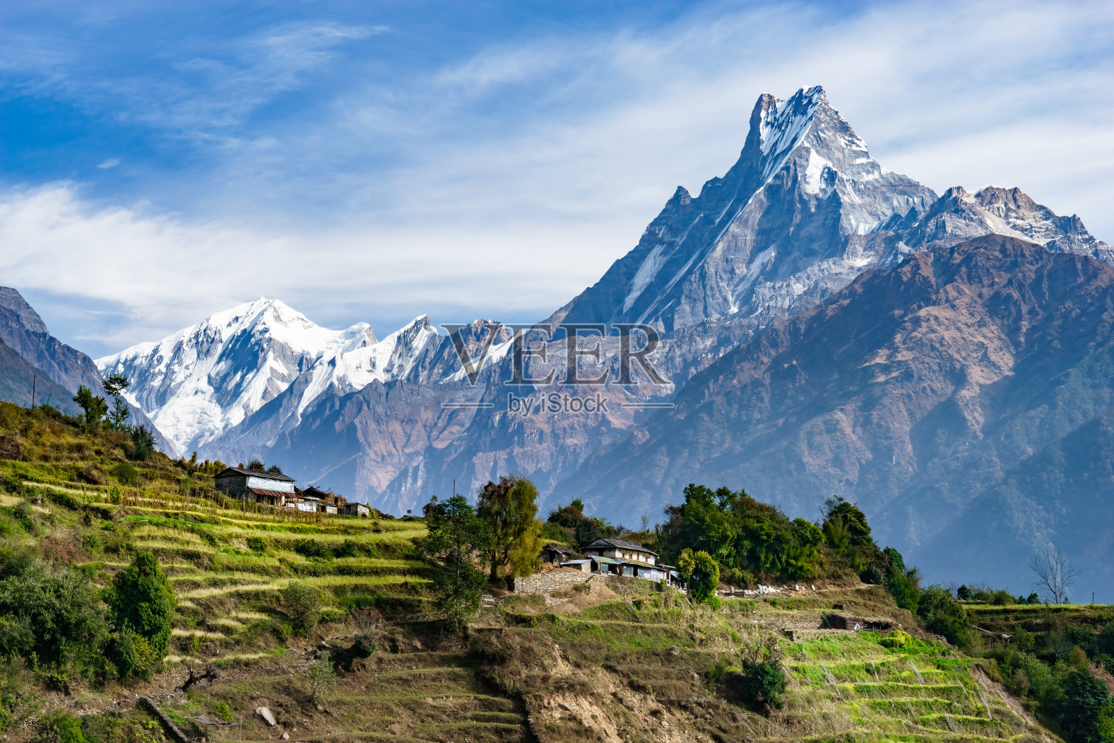 Machhapuchhre和梯田，尼泊尔照片摄影图片