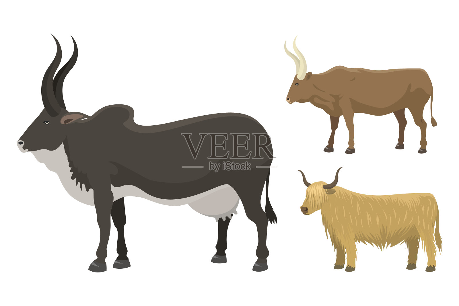 公牛和奶牛农场动物载体插图插画图片素材
