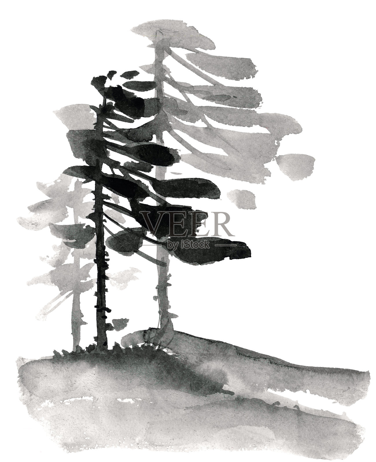 中国的松树景观插画图片素材