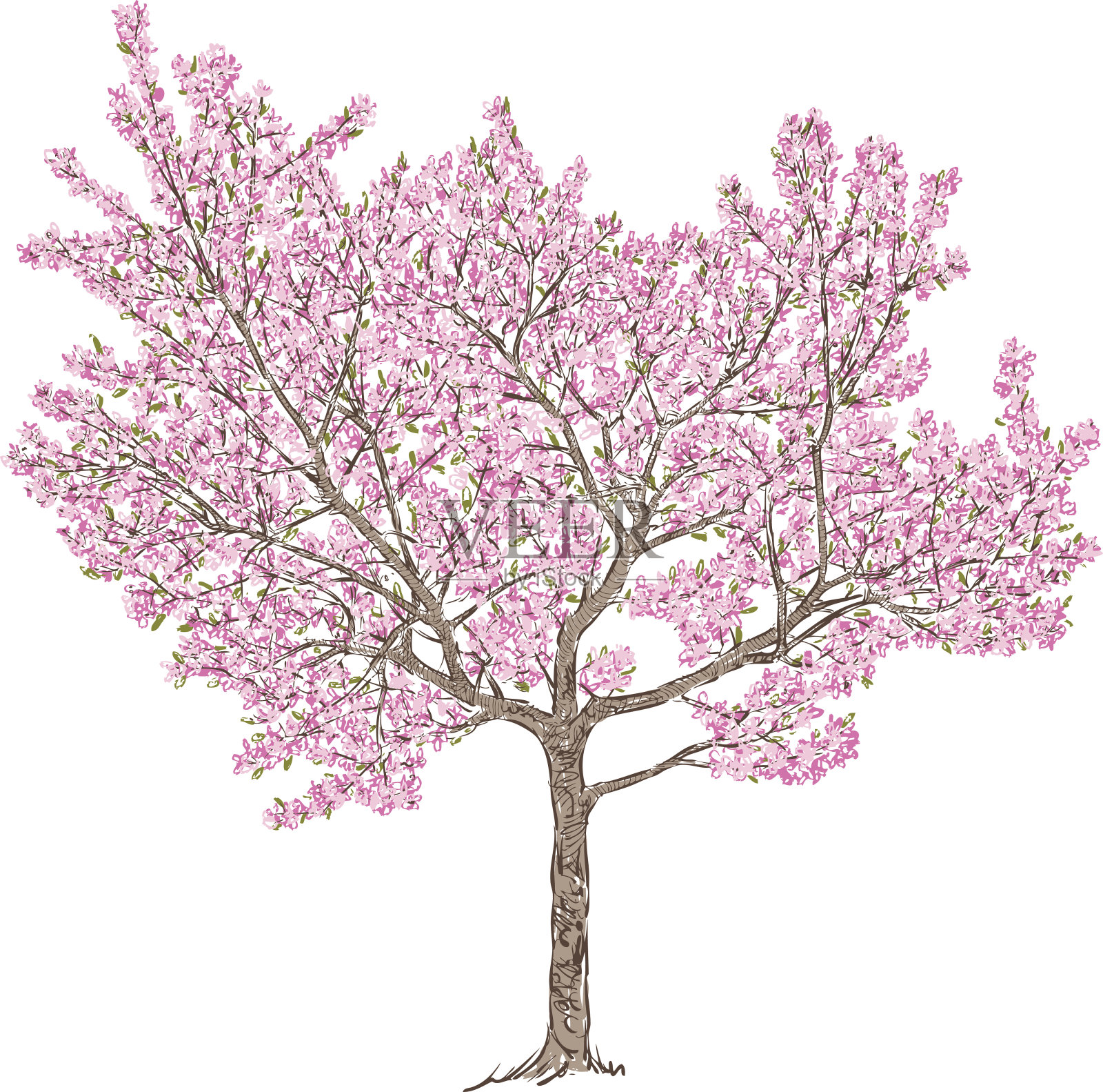 盛开的樱桃树设计元素图片
