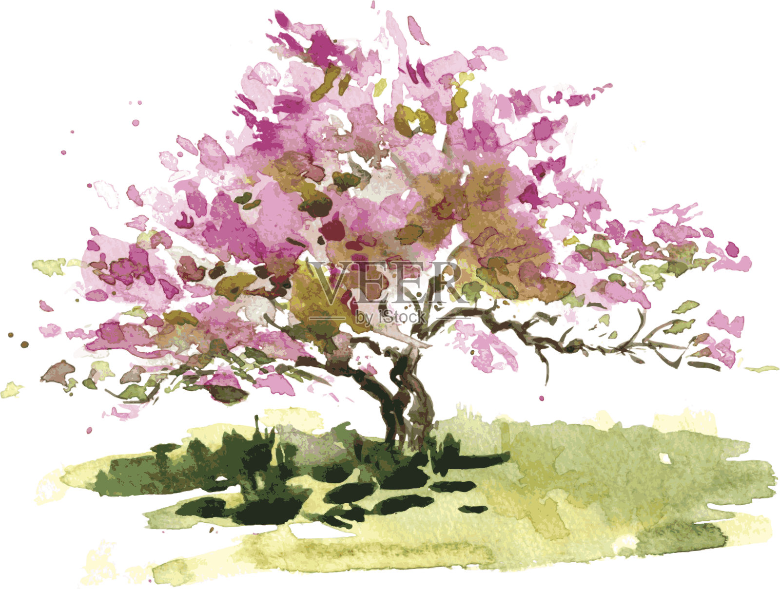樱花的树插画图片素材