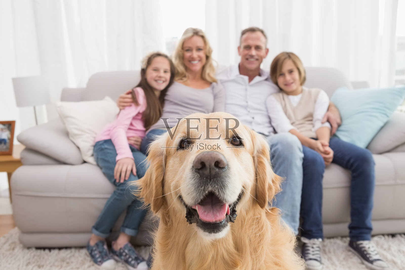 一家人坐在沙发上，前景是一只金毛猎犬照片摄影图片