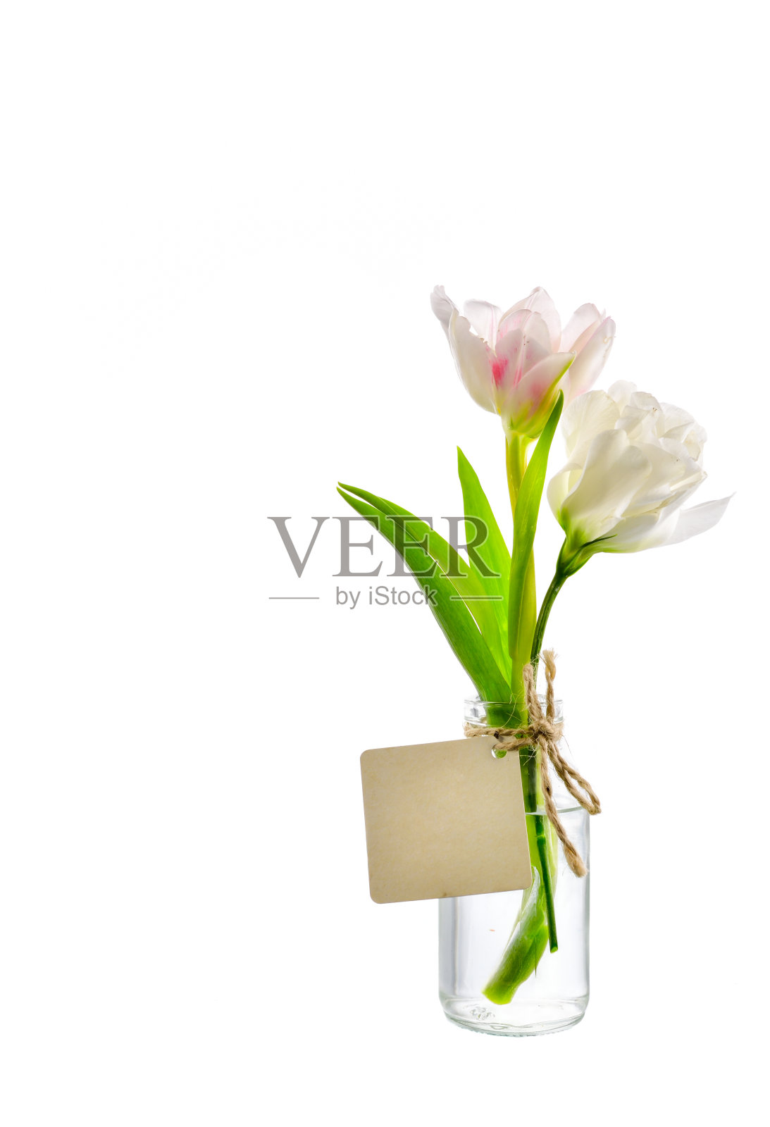 粉红色花，透明瓶，标签白色背景照片摄影图片