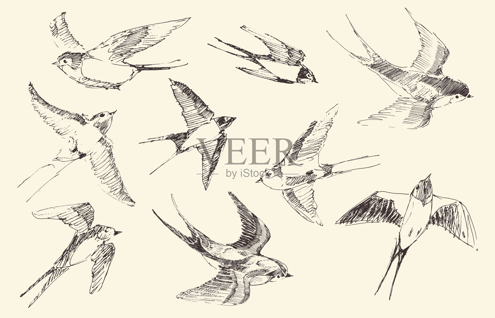 燕子飞鸟向量，手绘，素描插画图片素材