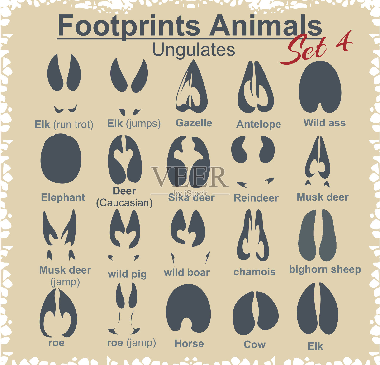 脚印动物-向量集插画图片素材