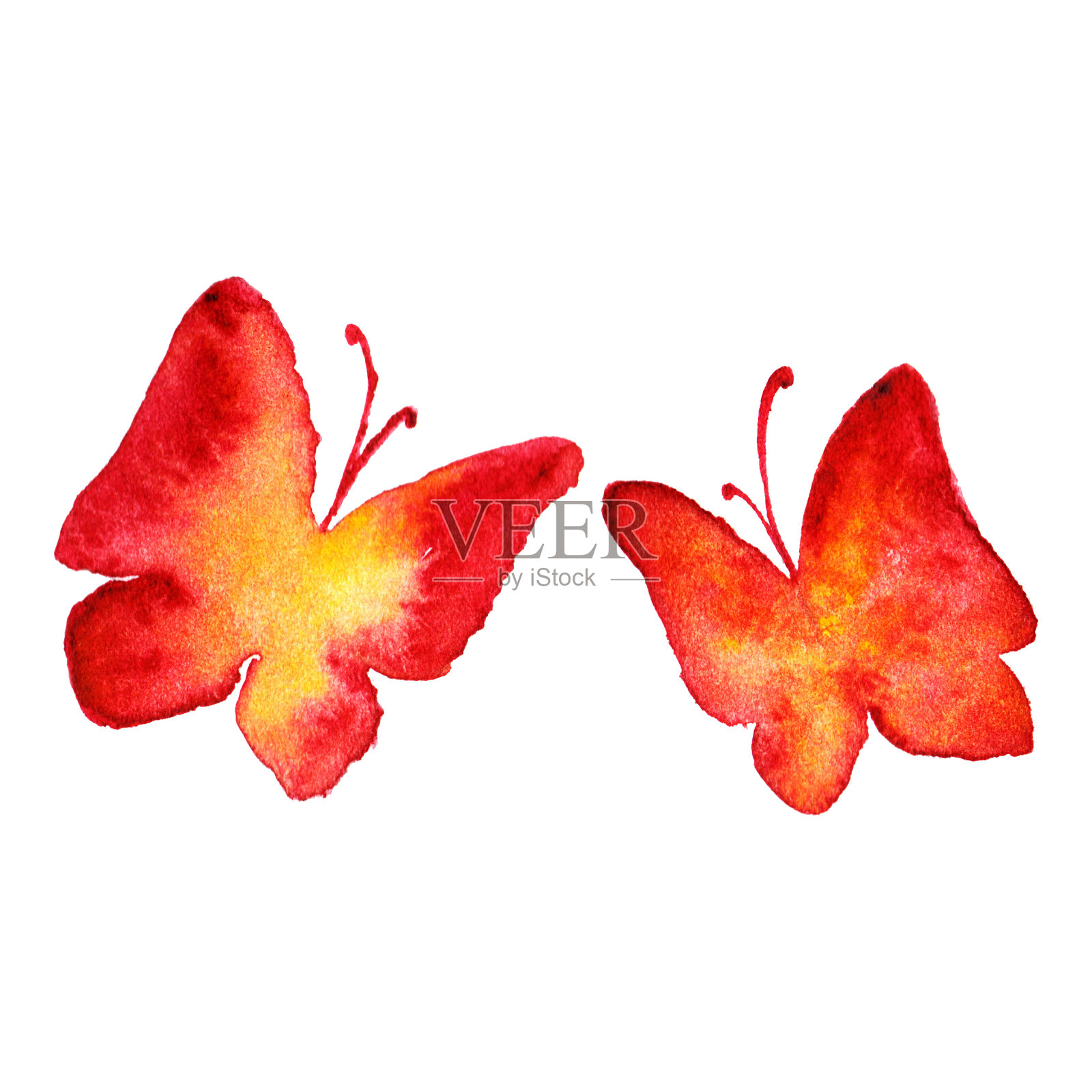 水彩红黄蝴蝶手画集孤立插画图片素材