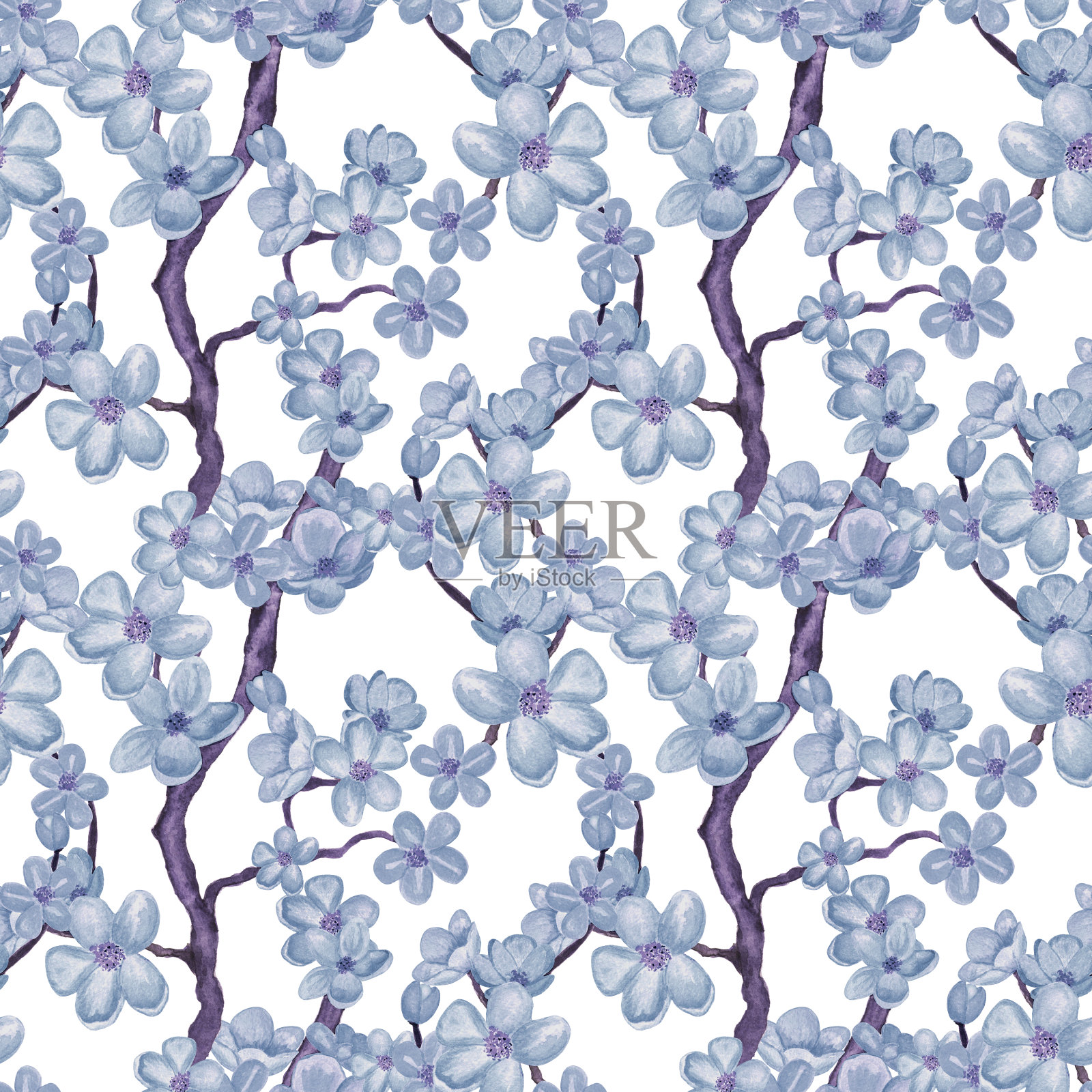 水彩无缝图案有蓝枝盛开的樱花、樱桃树插画图片素材