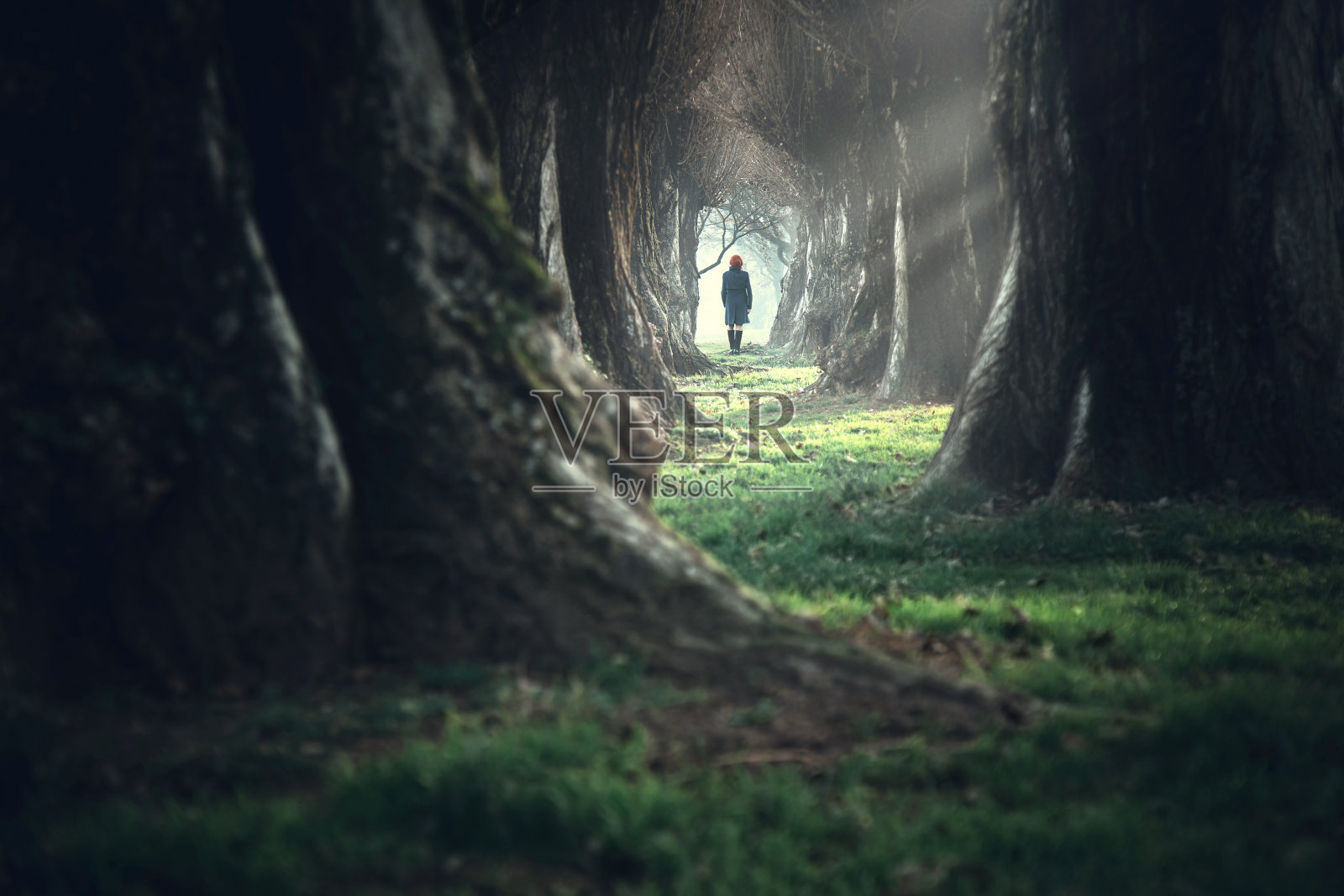 一个女人走在神秘的森林深处照片摄影图片