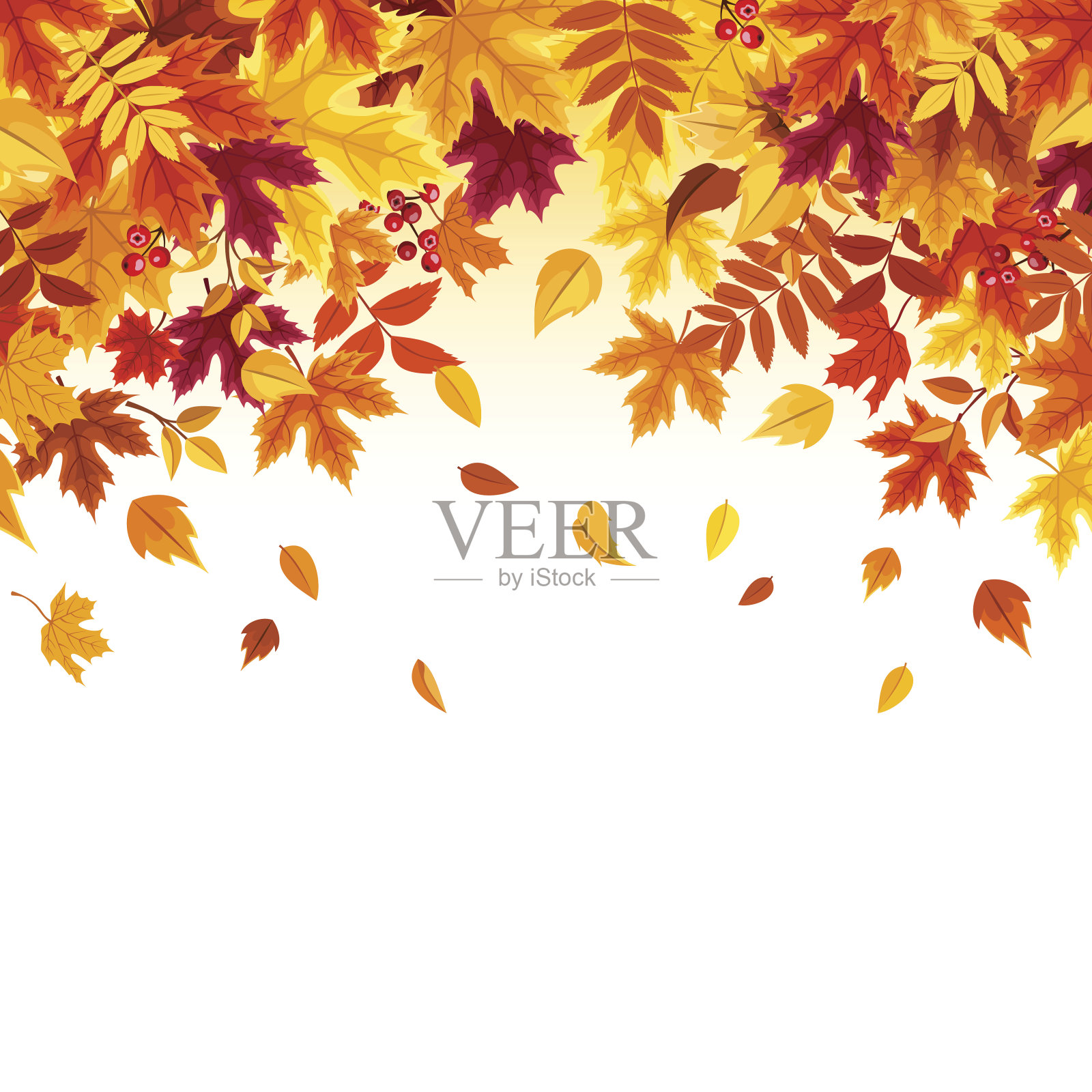 背景与色彩缤纷的秋天树叶。矢量插图。插画图片素材