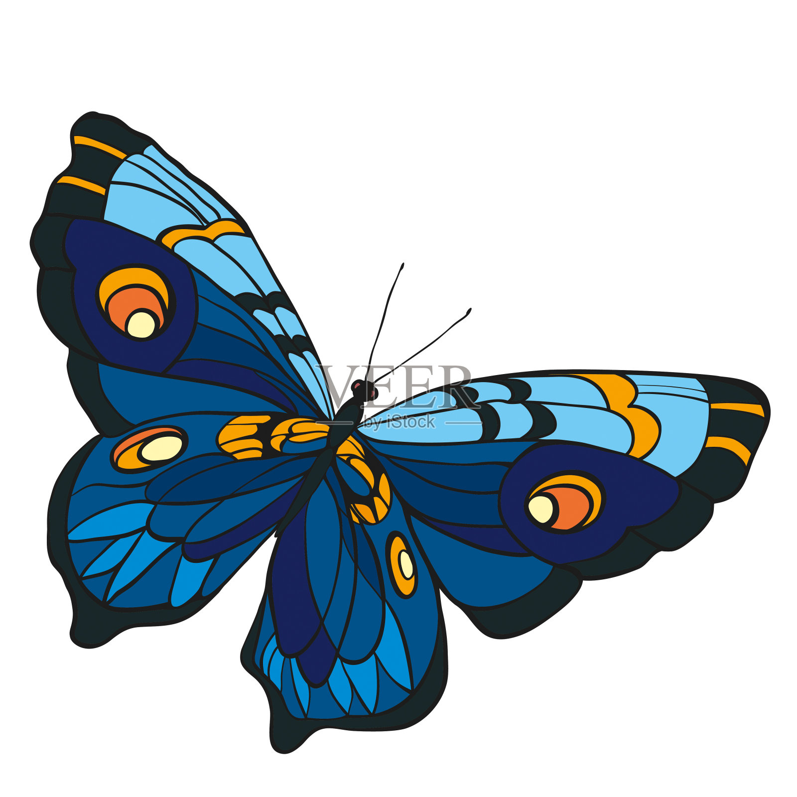 在俯视图中打开翅膀的蓝色蝴蝶插画图片素材