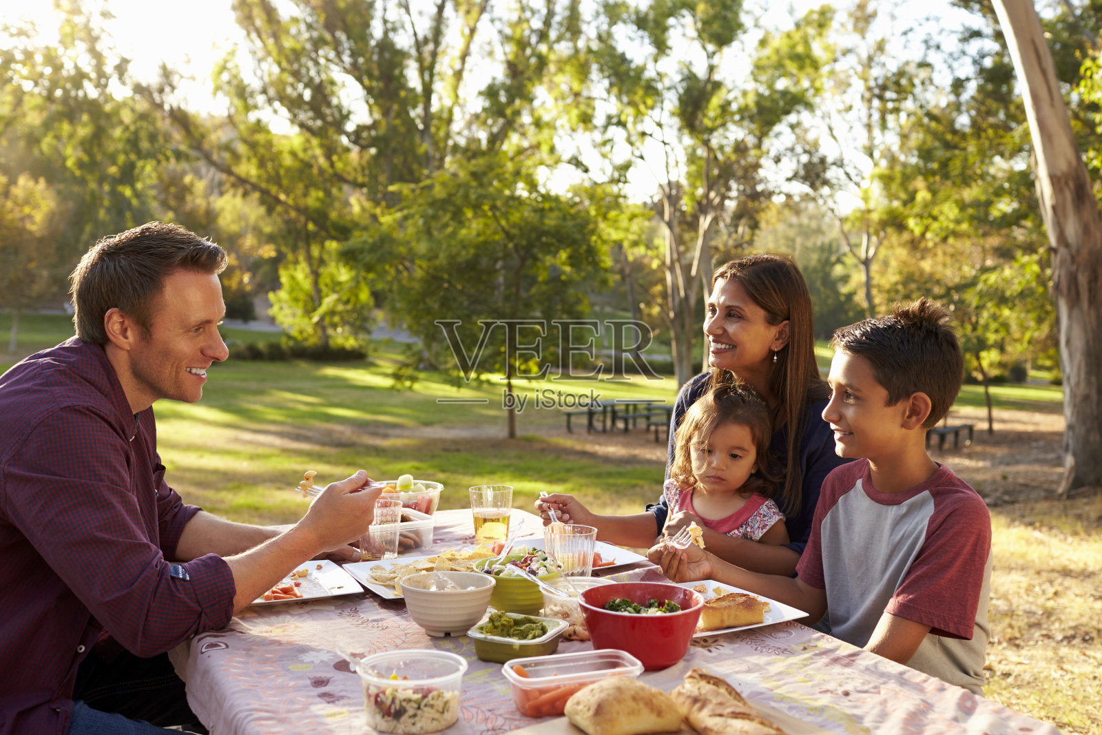 混合种族家庭享受野餐在一张桌子在一个公园照片摄影图片