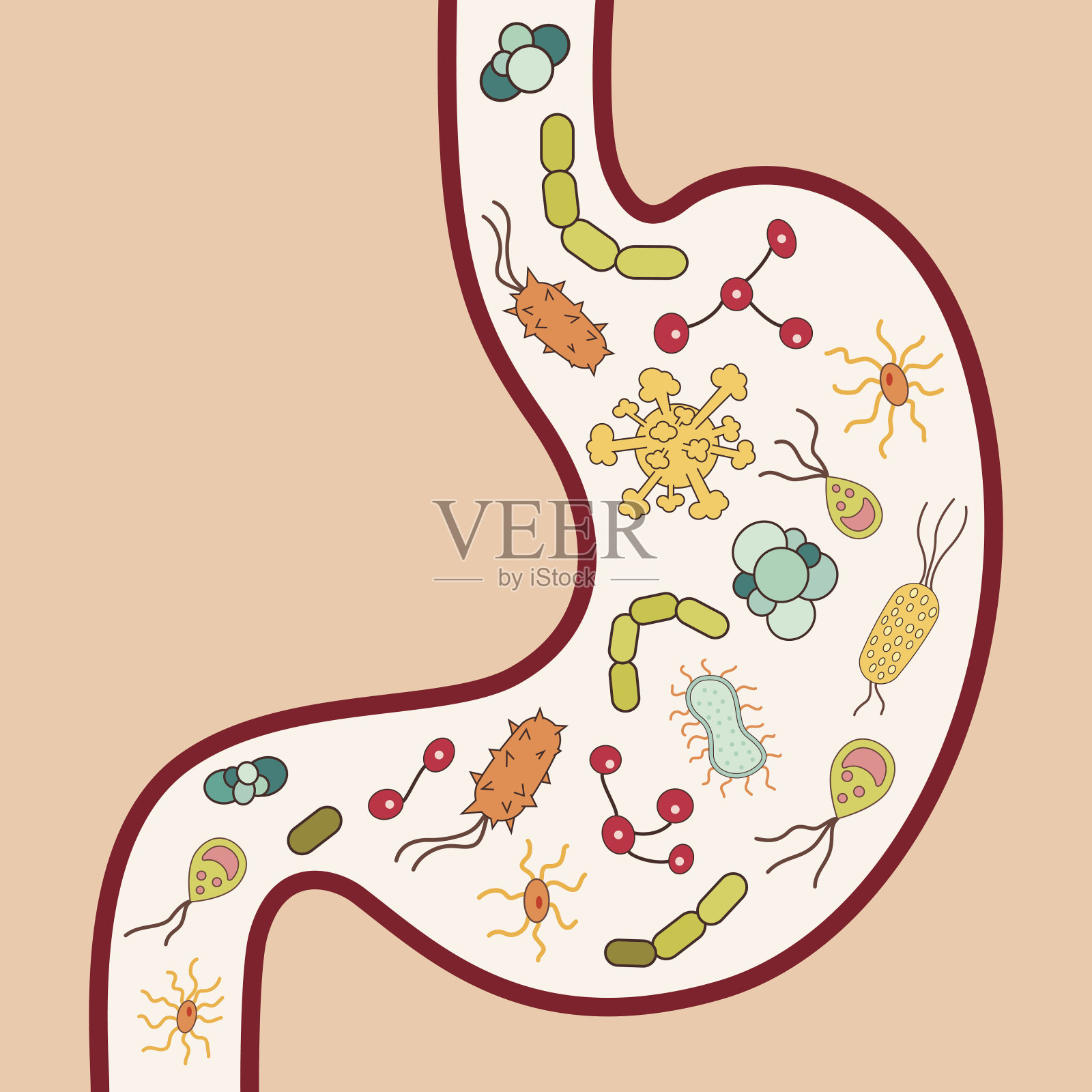 人的胃里有病毒和细菌插画图片素材