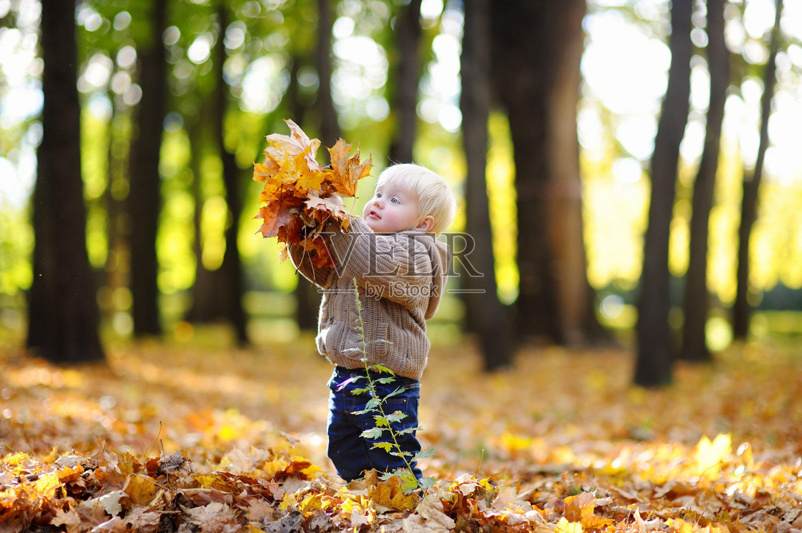 蹒跚学步的孩子在秋天有乐趣照片摄影图片