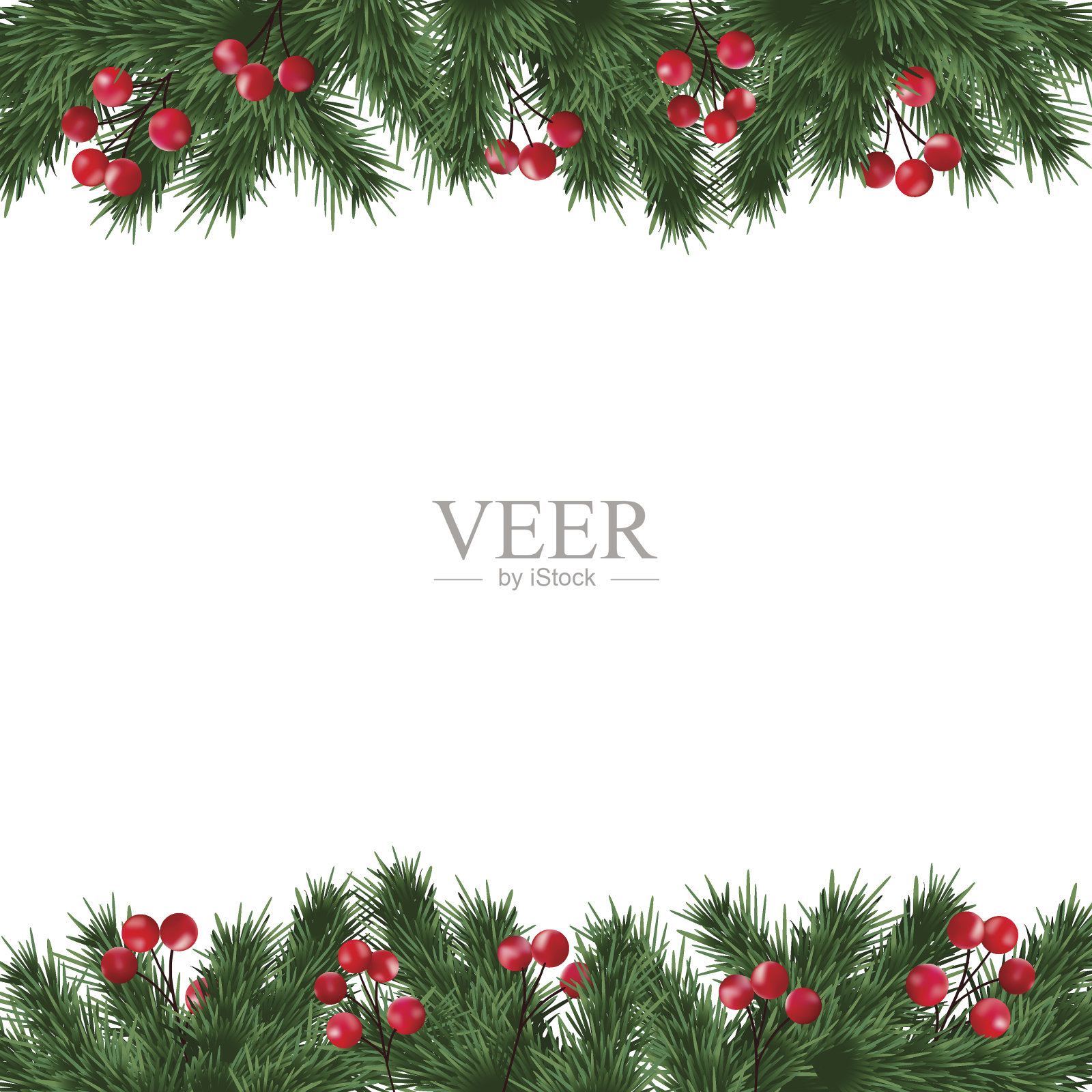 圣诞贺卡，冷杉树枝和冬青浆果镶边插画图片素材