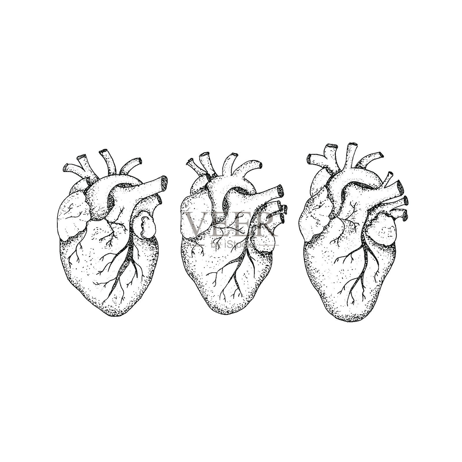 做三颗人类的心插画图片素材