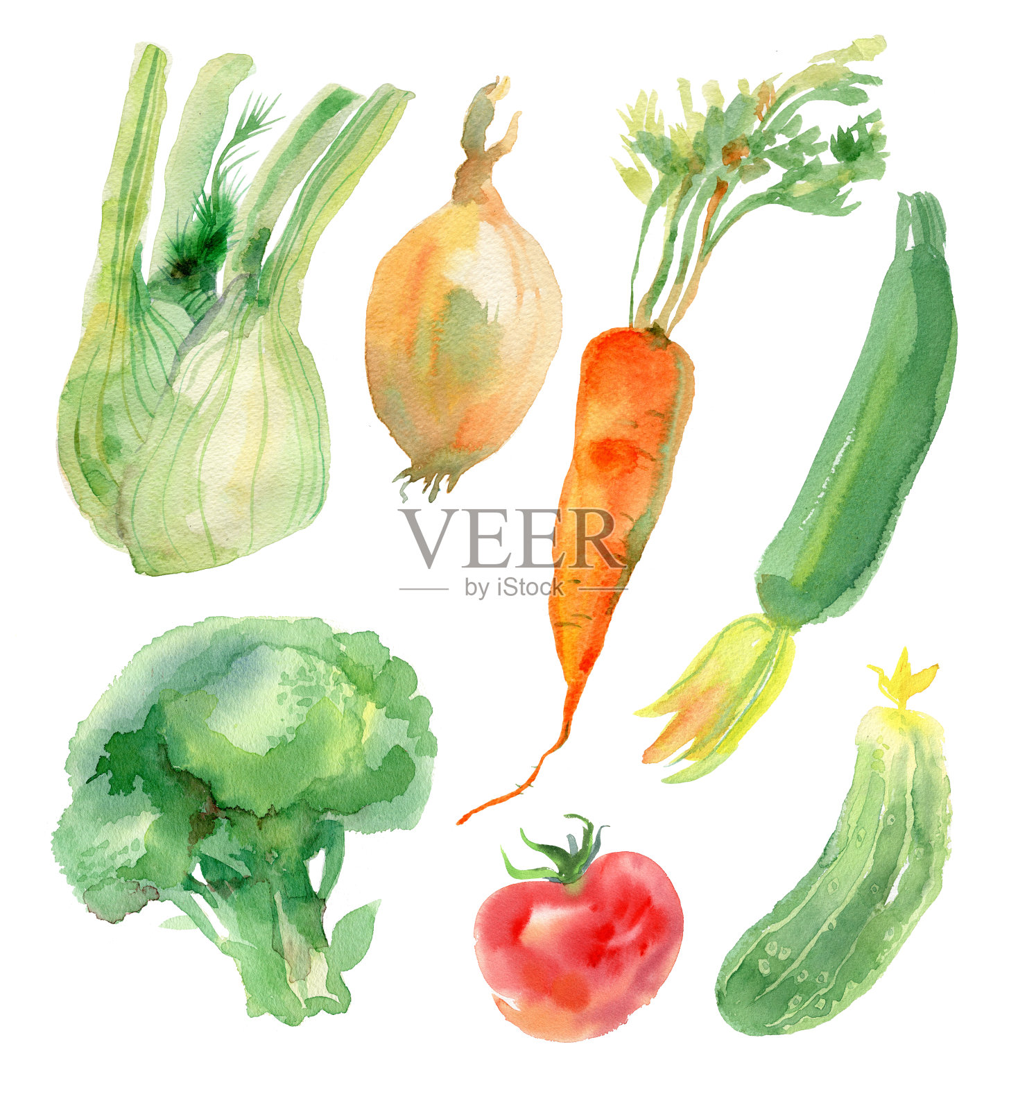 水彩蔬菜设置插画图片素材