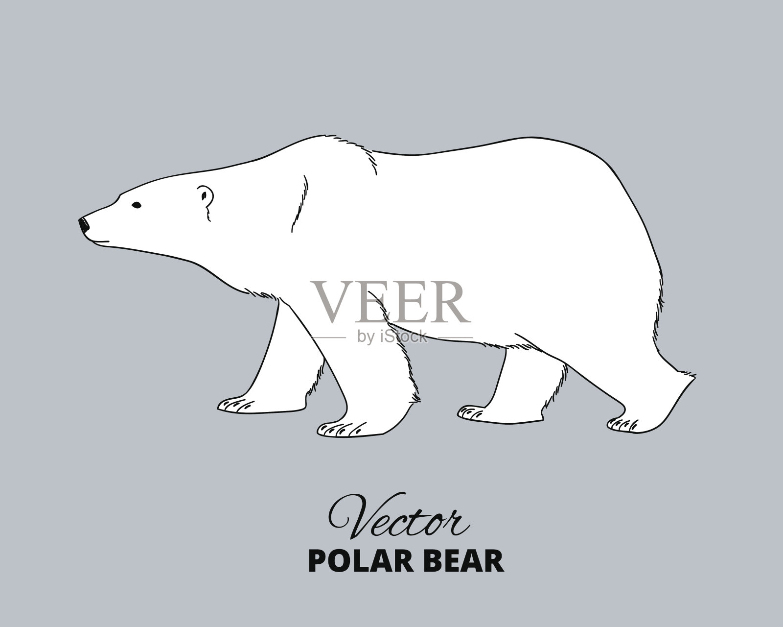 北极熊手绘插图设计元素图片