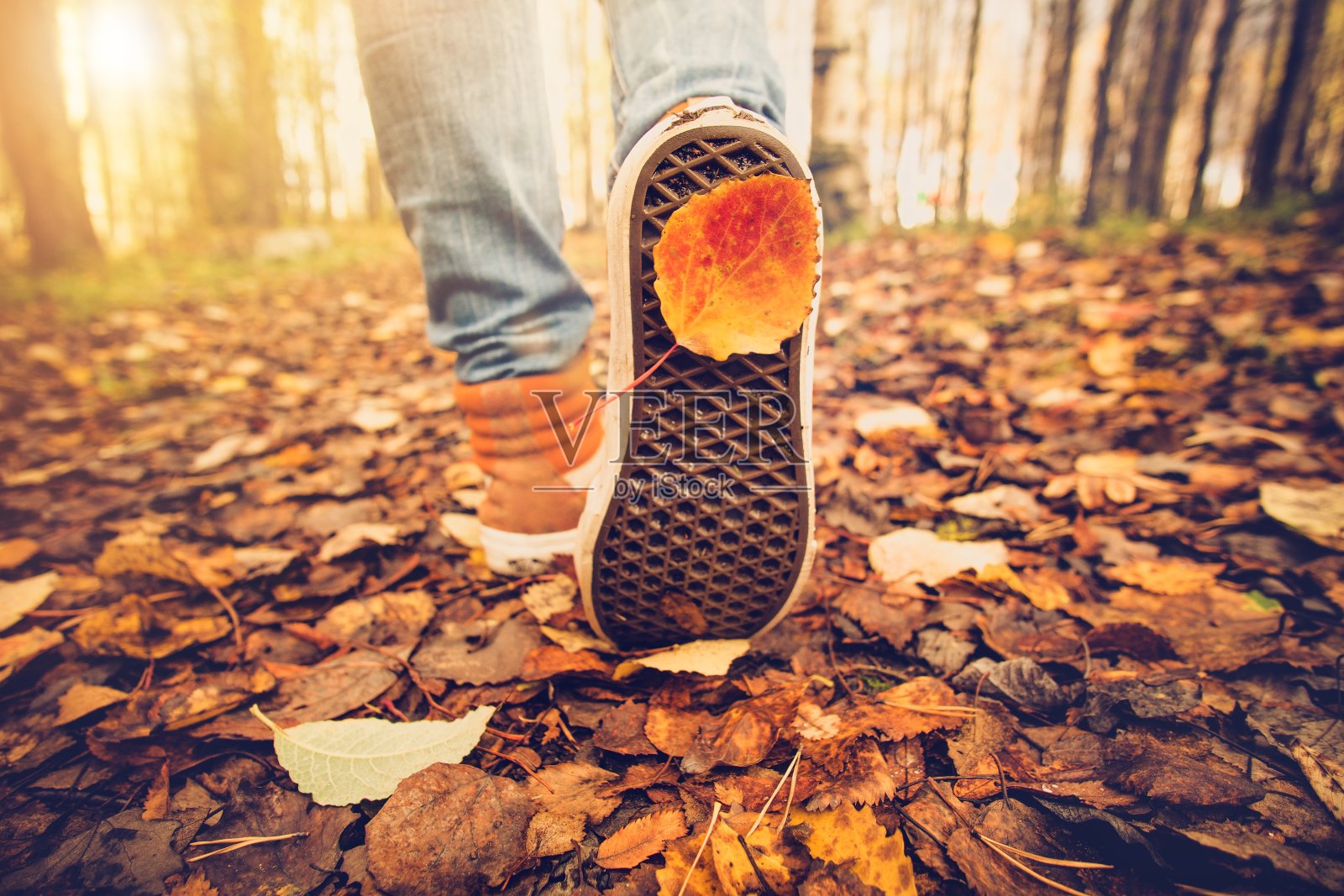 脚运动鞋走在秋叶户外秋天季节照片摄影图片
