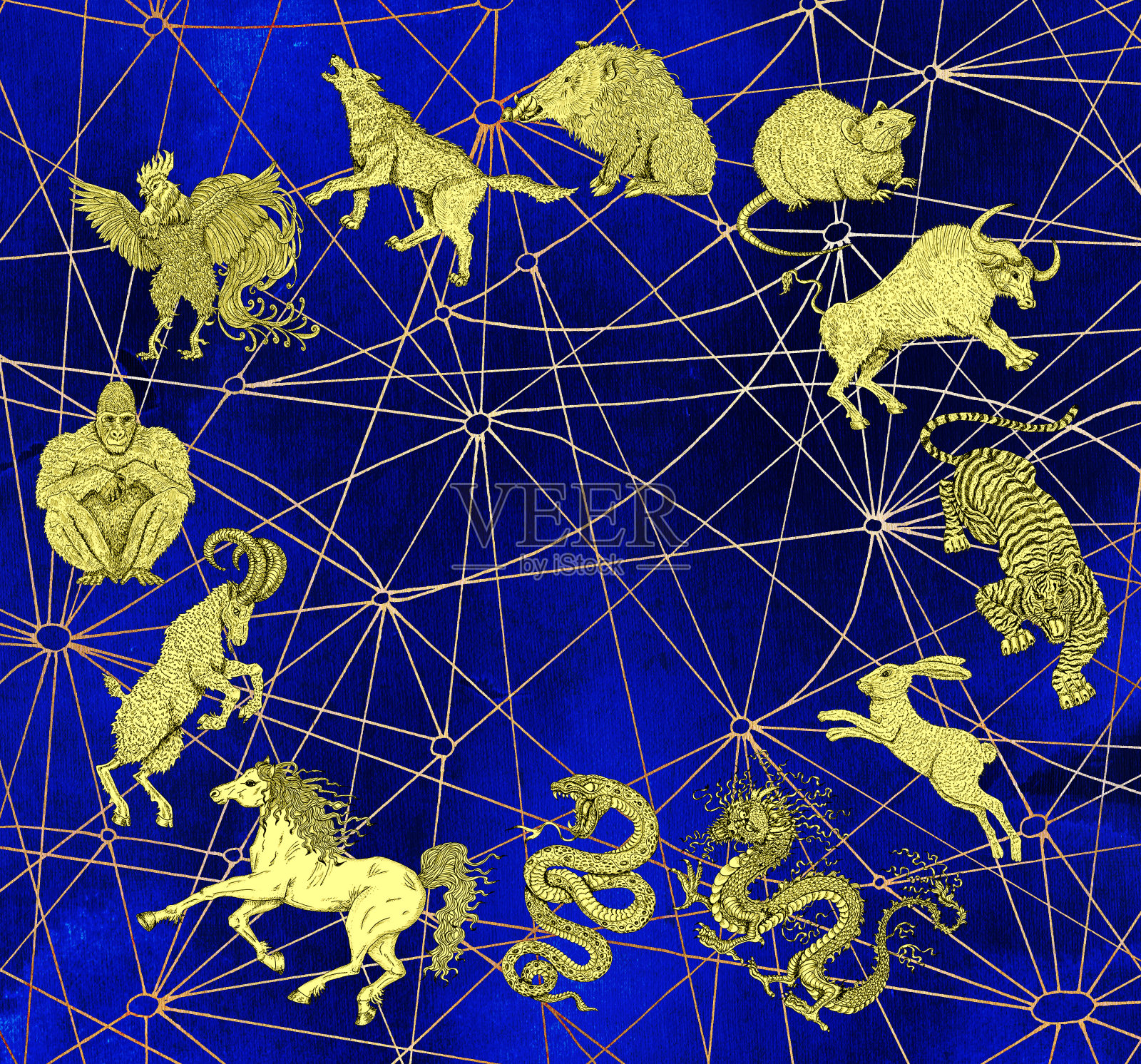 蓝色神秘的背景与十二生肖动物的图表插画图片素材