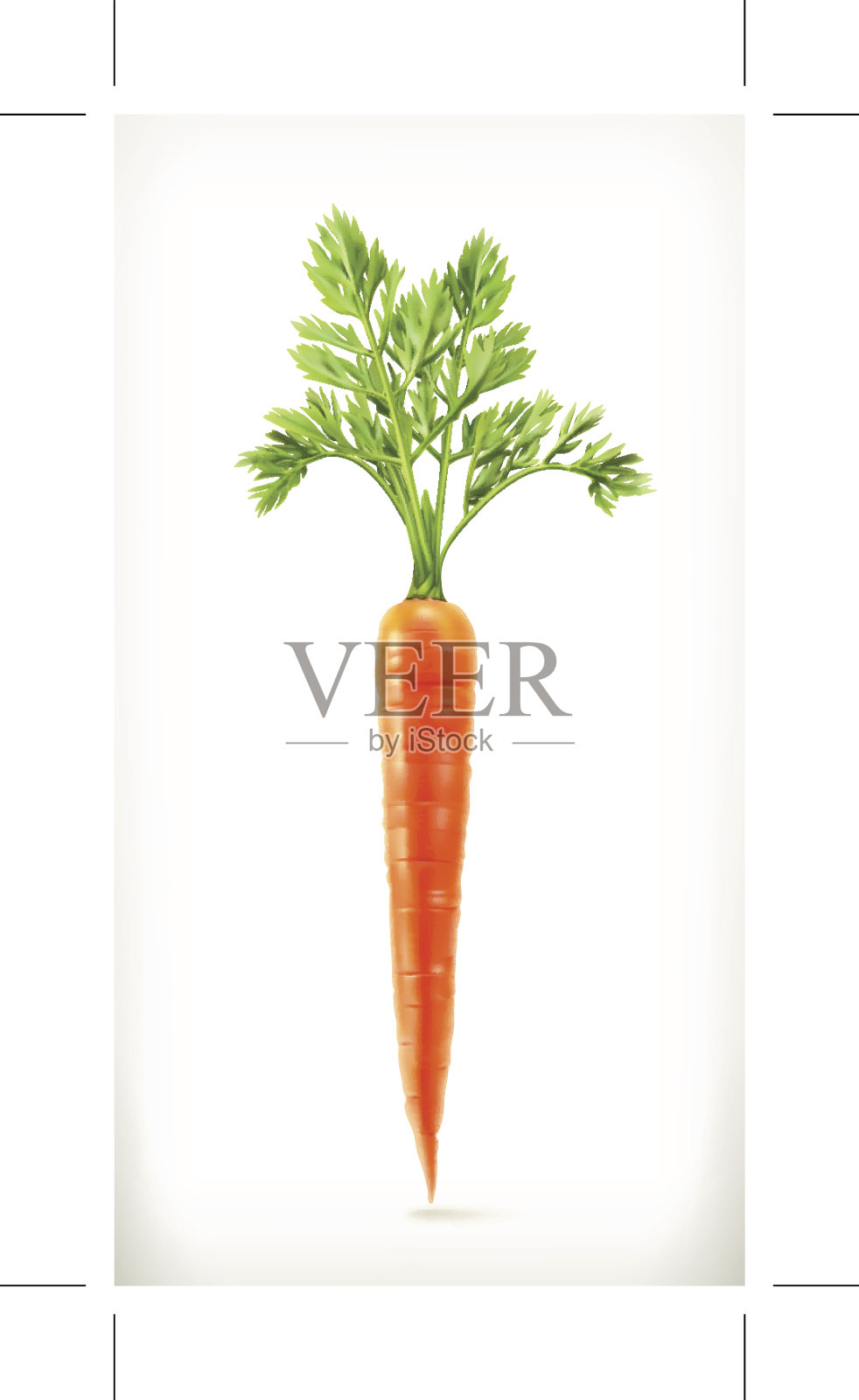 新鲜嫩胡萝卜，健康食品，矢量图标设计元素图片