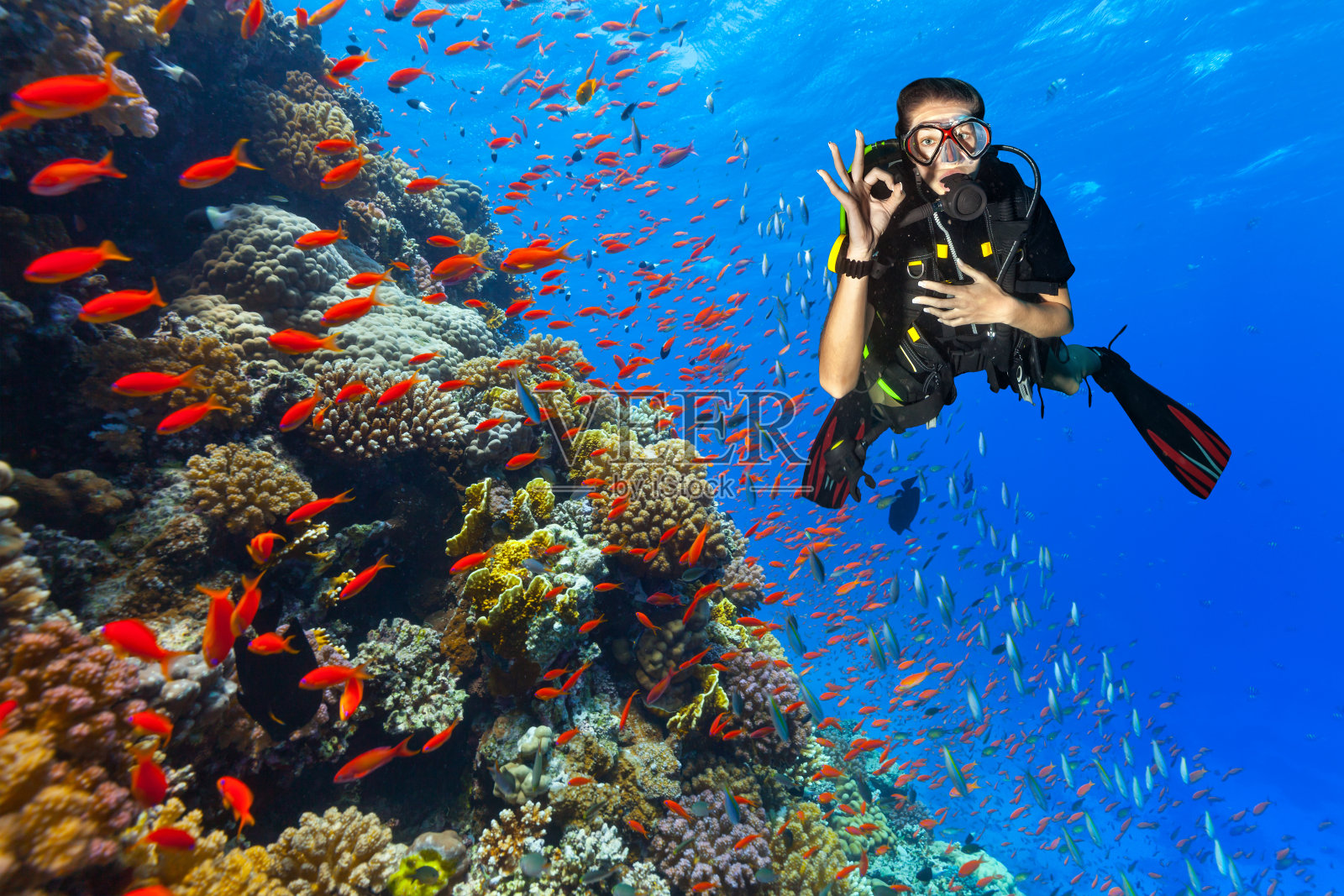 戴水肺的潜水员在珊瑚礁上探险，显示出良好的迹象照片摄影图片