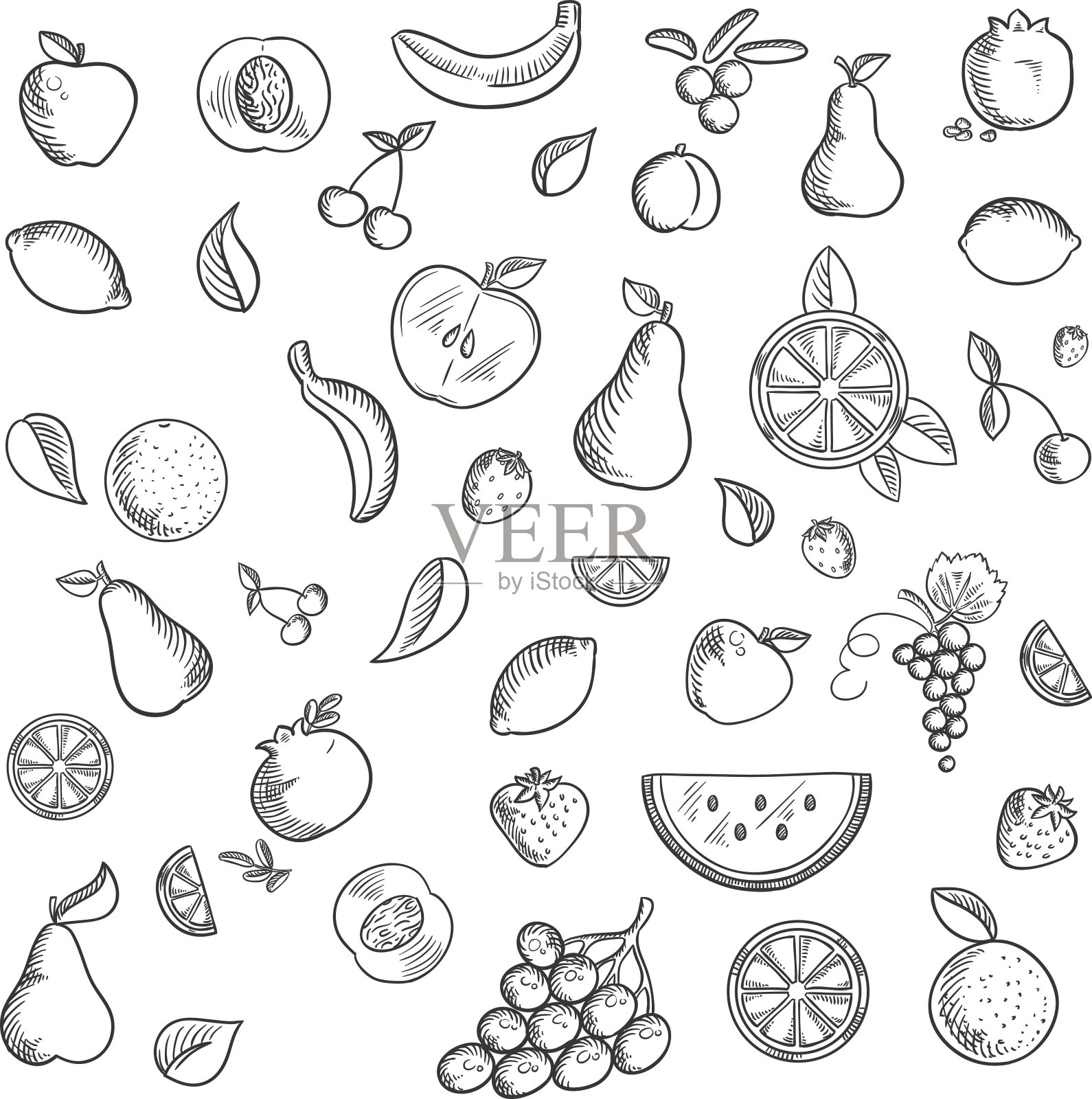 水果和浆果素描图标集插画图片素材