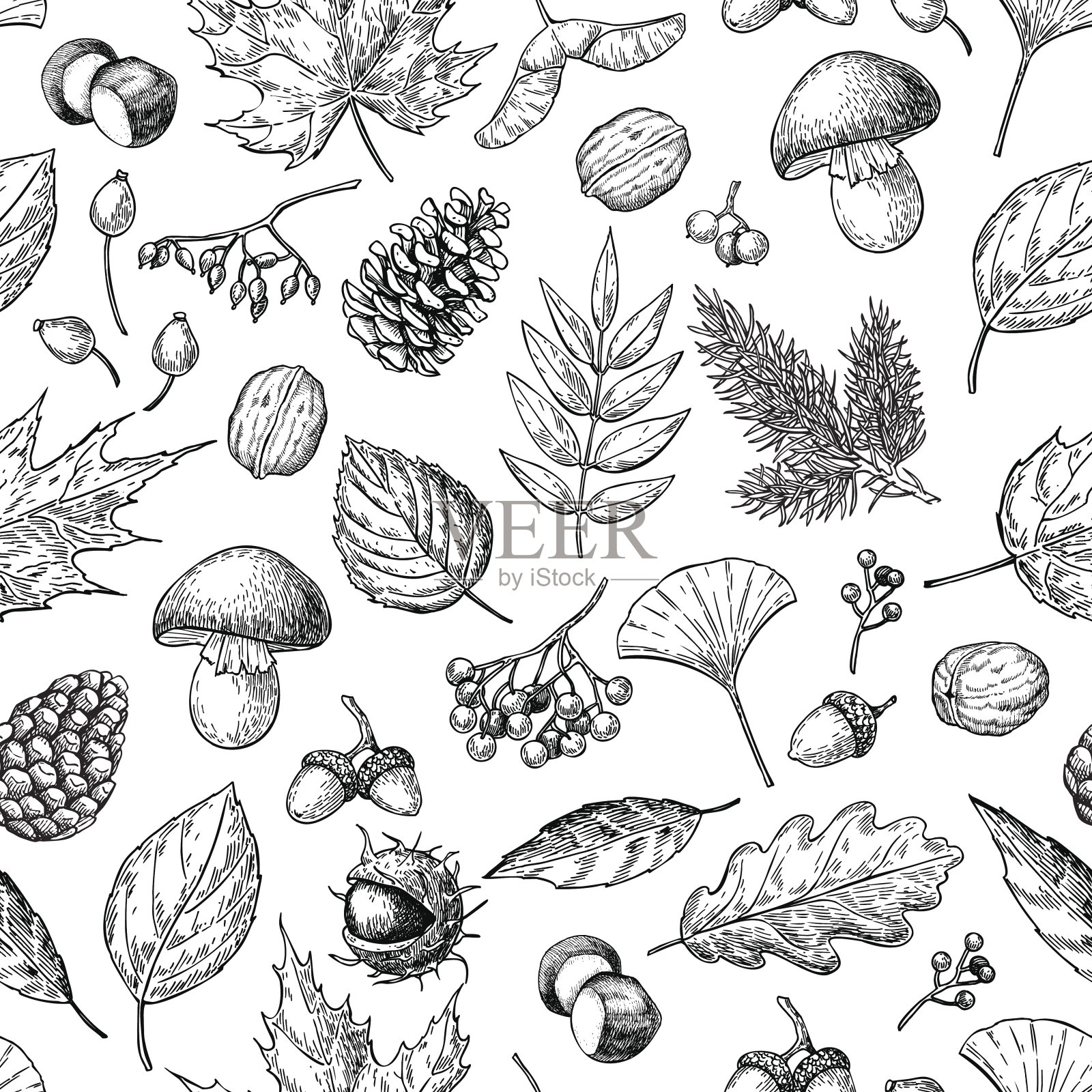 秋天无缝矢量模式与树叶，浆果，冷杉球果，插画图片素材