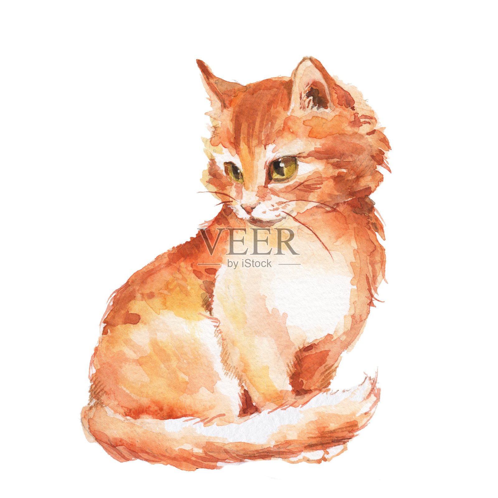 猫1。姜毛茸茸的小猫。水彩画插画图片素材