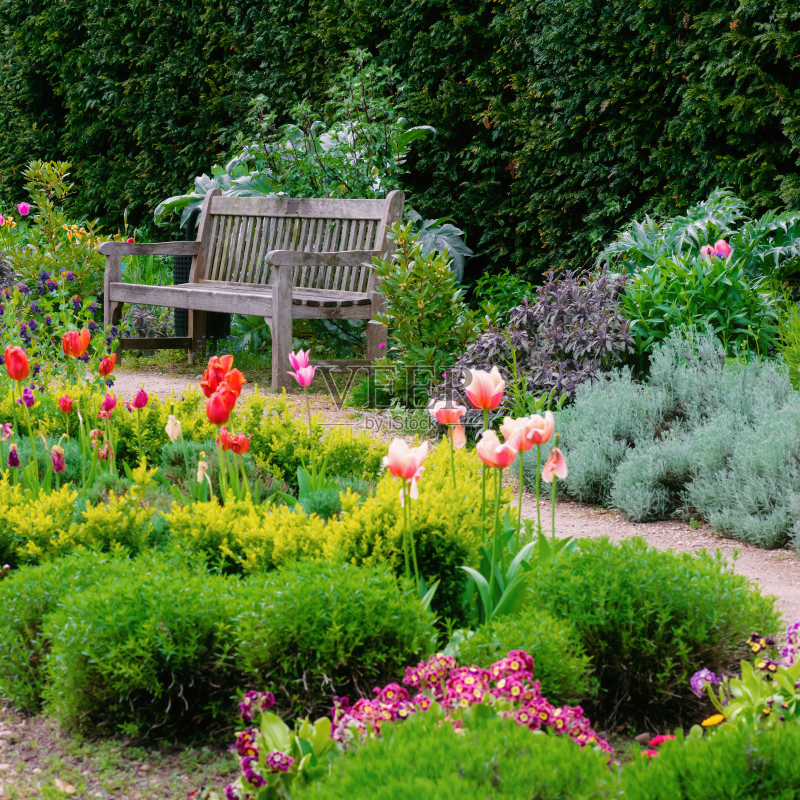 英国式花园用步道引导空长凳构成照片摄影图片