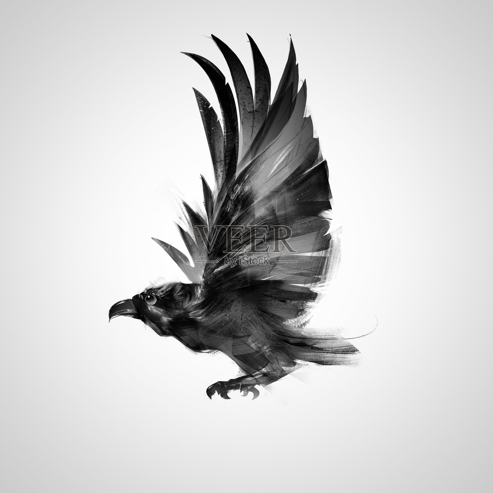 孤立的图形飞行的鸟黑乌鸦设计元素图片