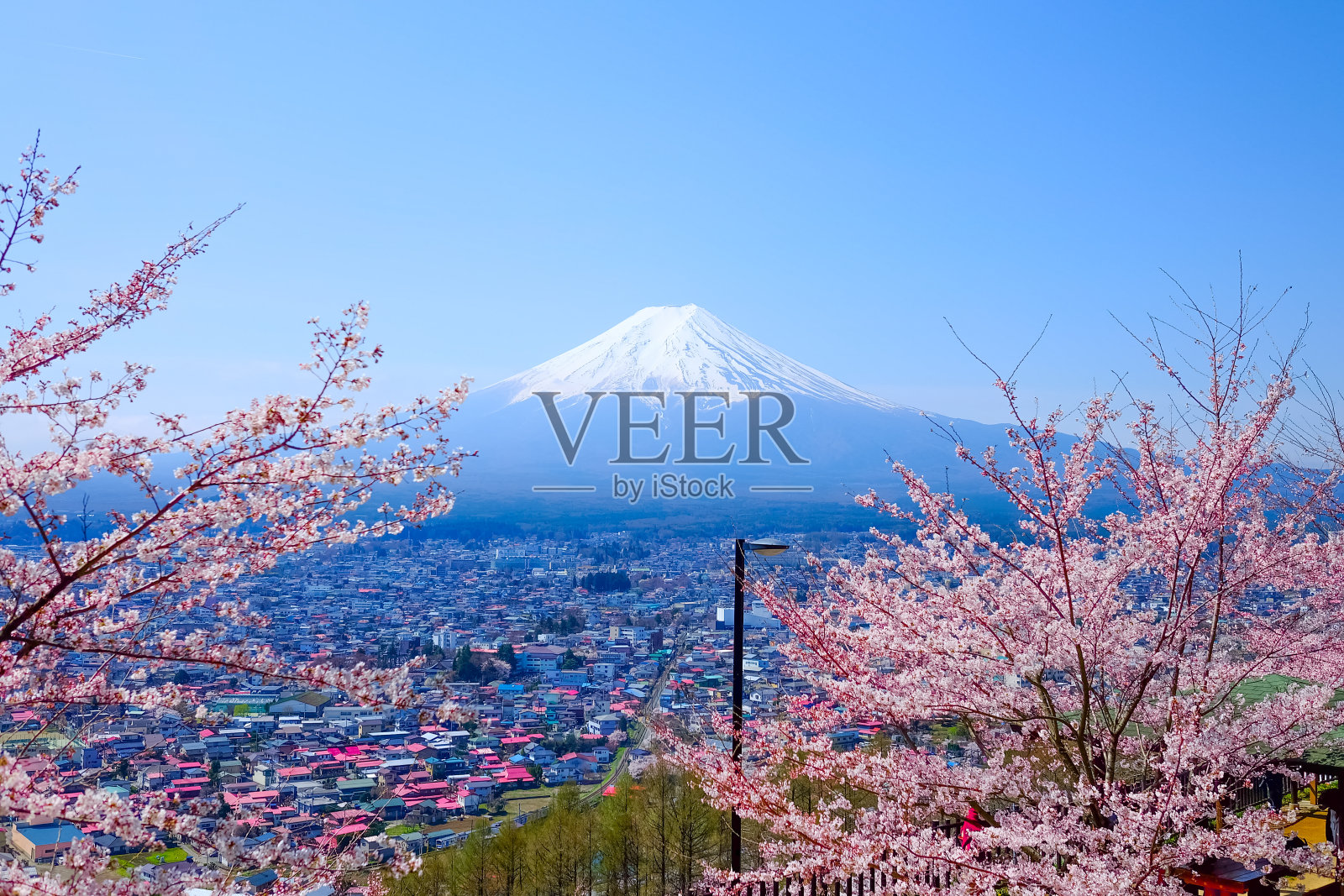 富士山春天的樱花(Sakura)，藤吉田，Ja照片摄影图片