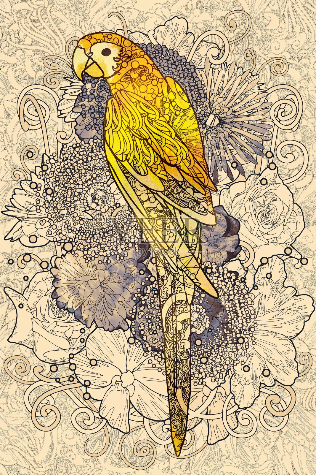 鹦鹉线艺术与黄色的植物背景插画图片素材
