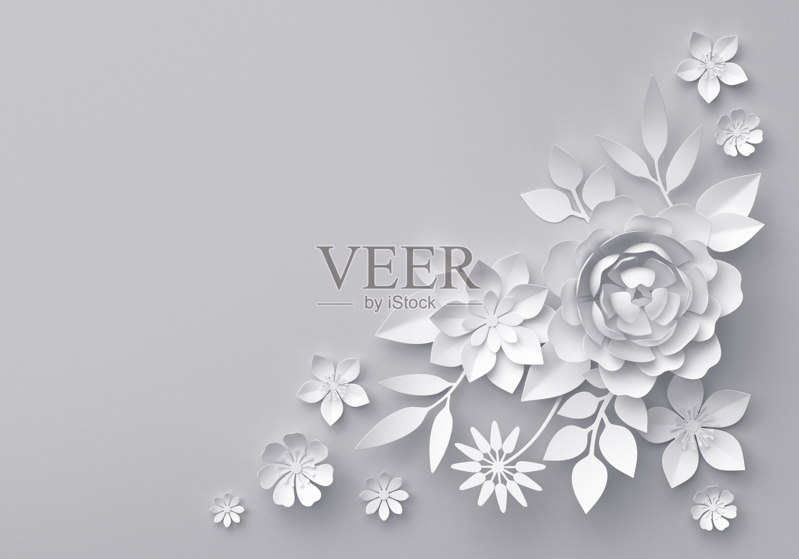 3d渲染，白纸花，花的背景插画图片素材