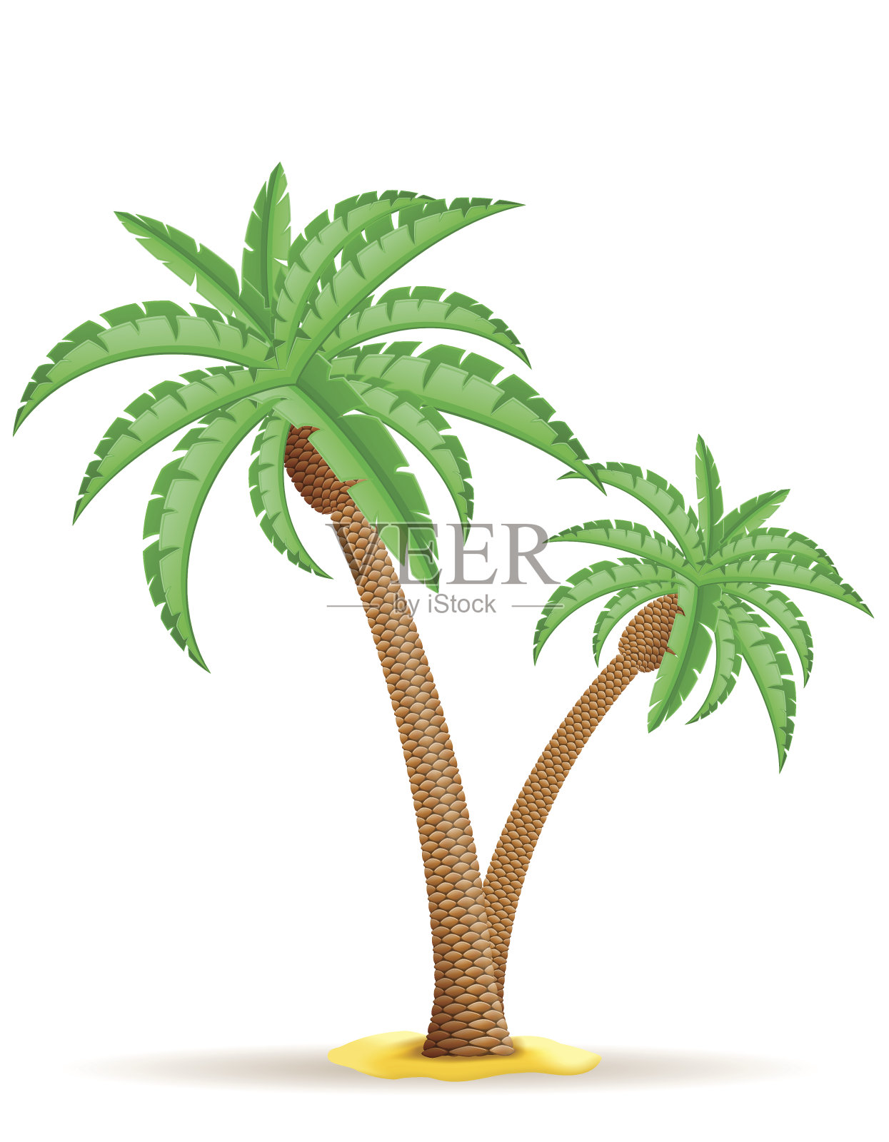 棕榈树矢量图设计元素图片