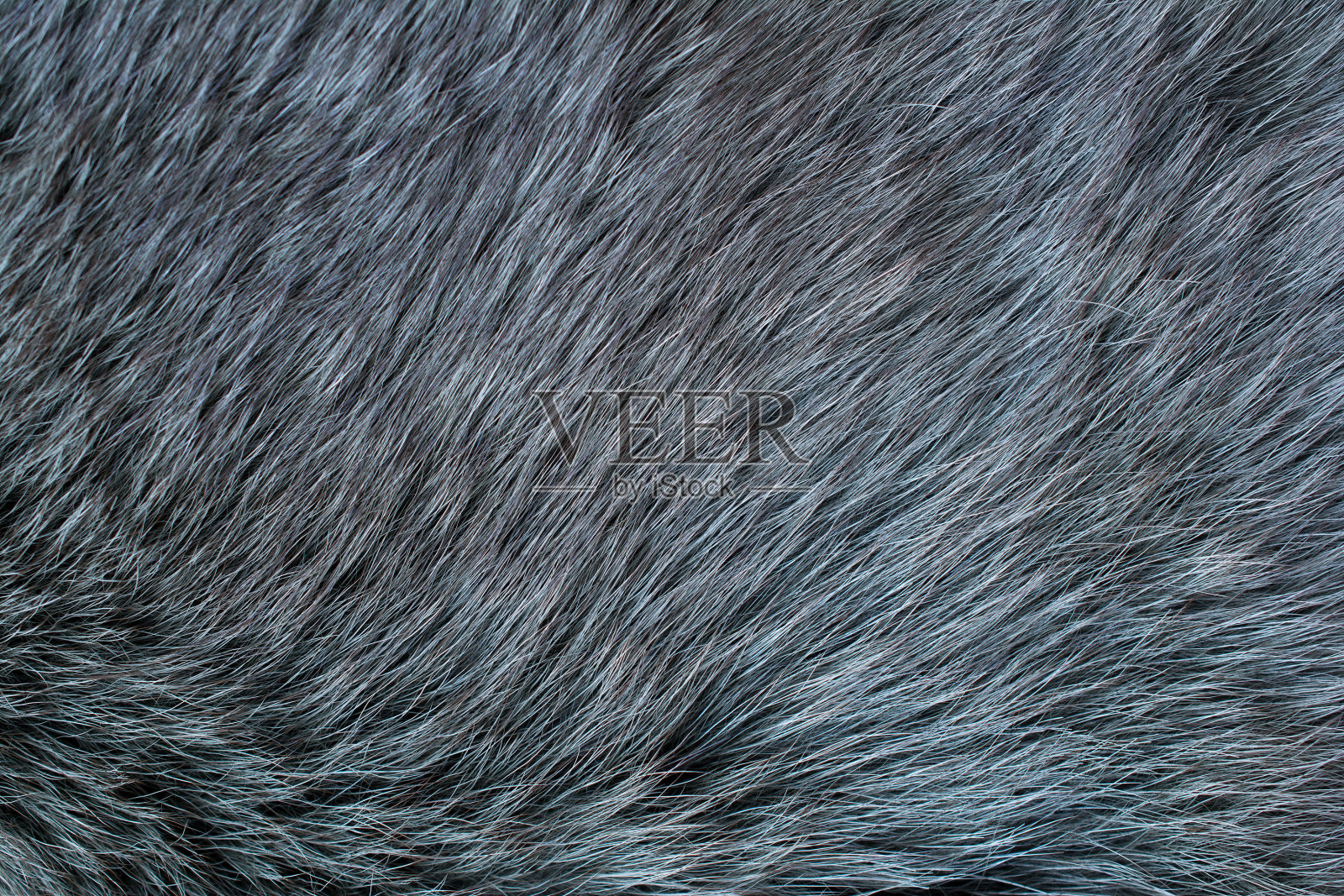 毛皮北极狐。皮毛纹理。照片摄影图片