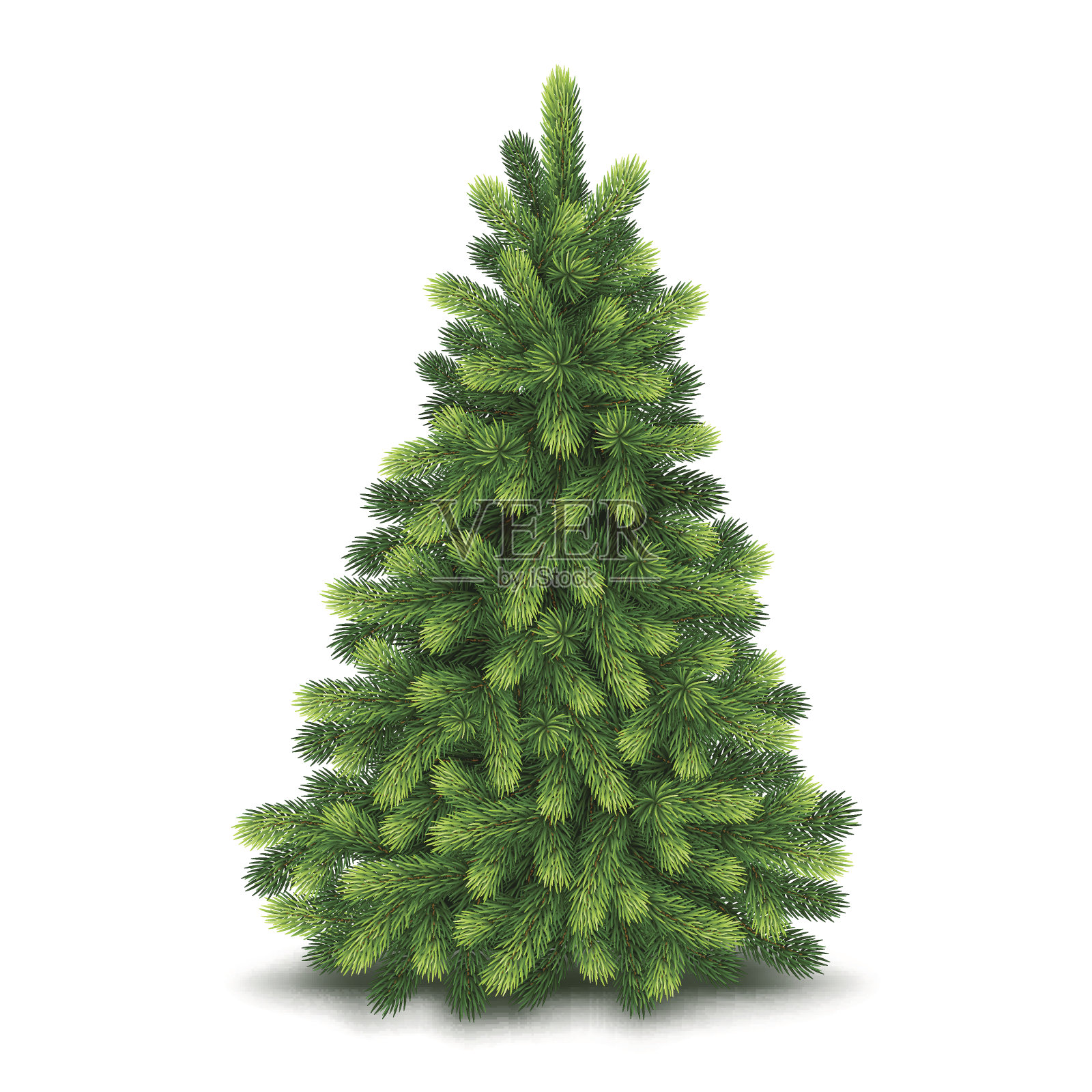 圣诞树，详细的矢量插图设计元素图片