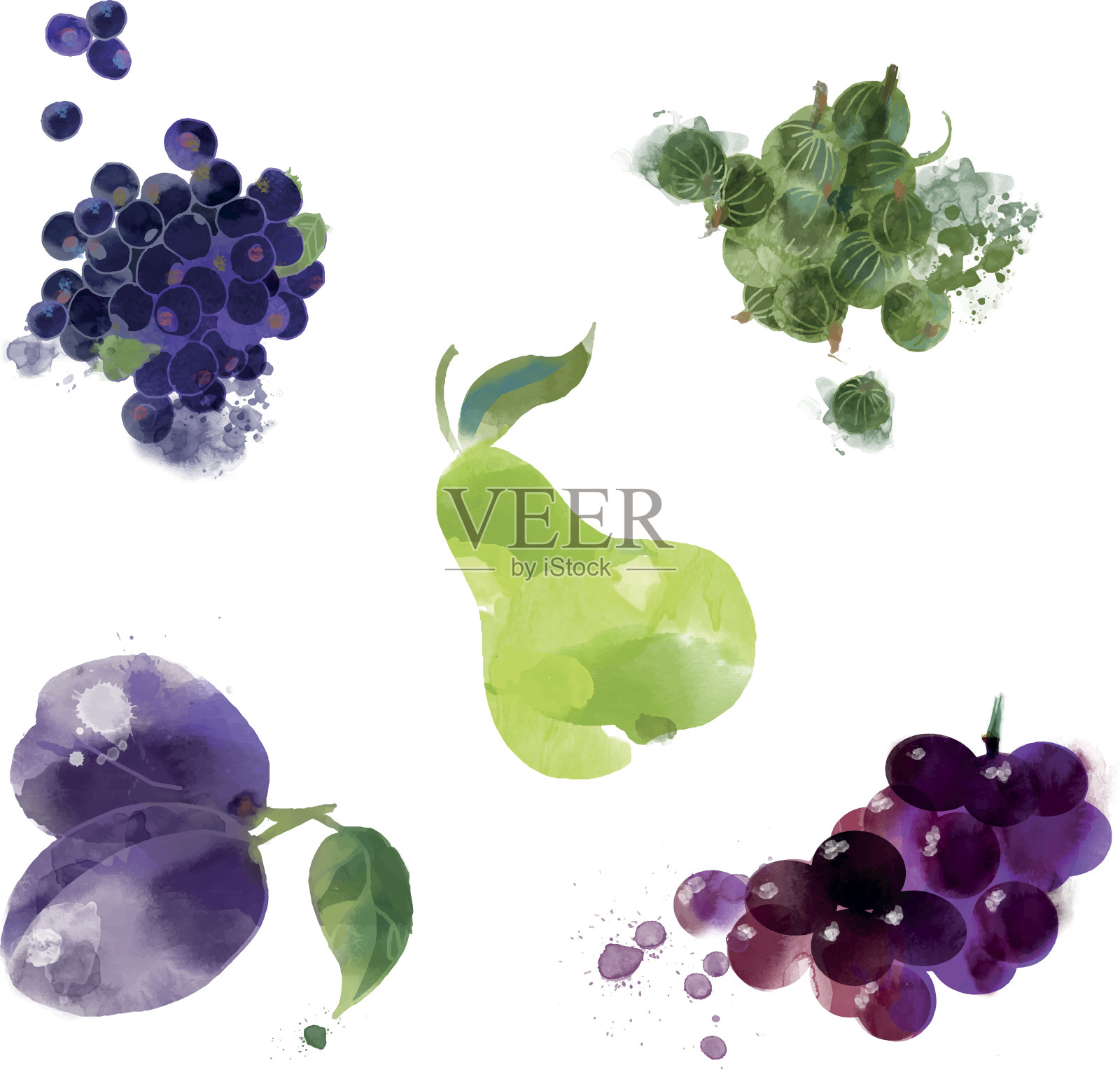 葡萄，醋栗，梨，李子，蓝莓设计元素图片