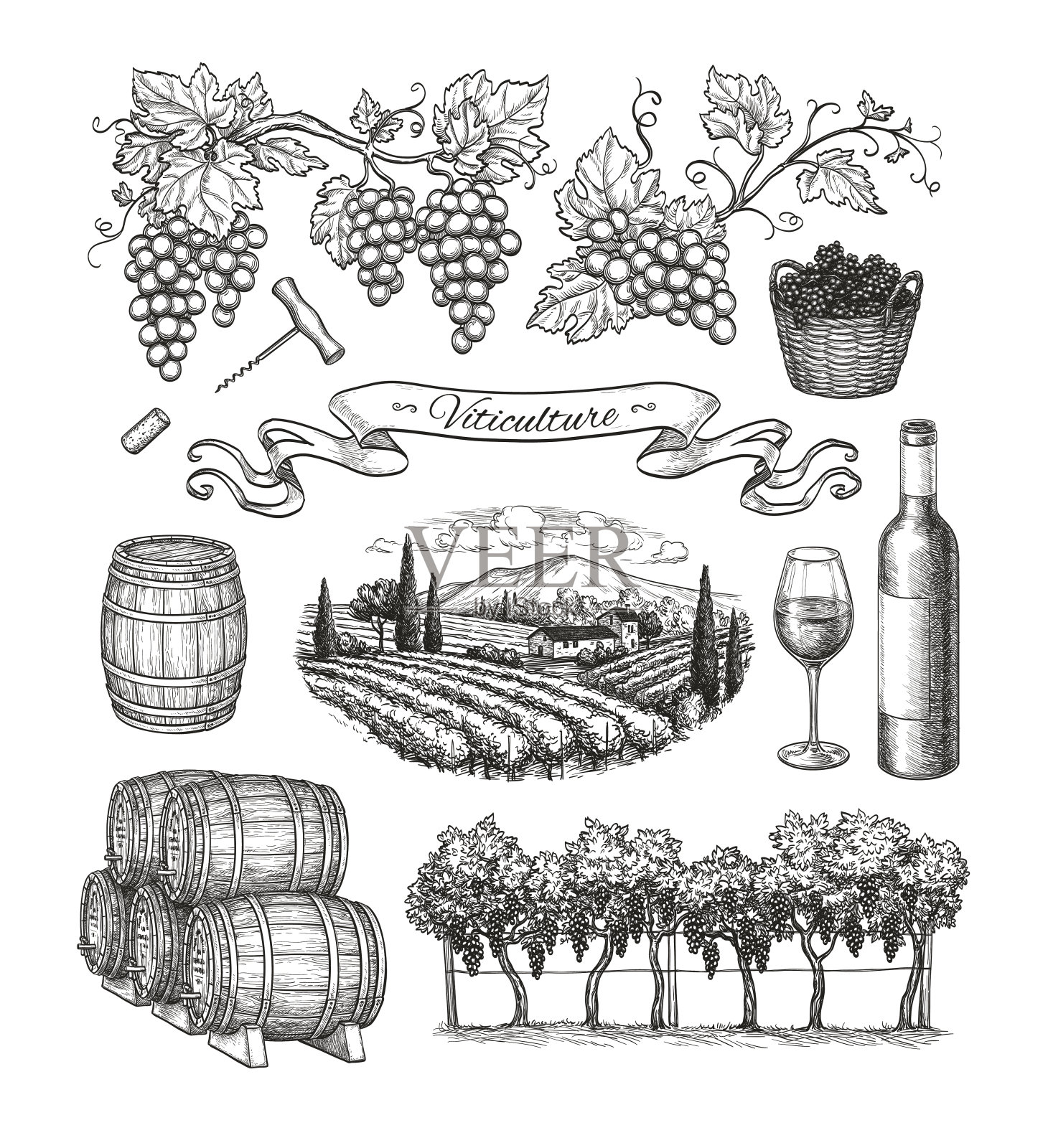 葡萄栽培的大集合。设计元素图片