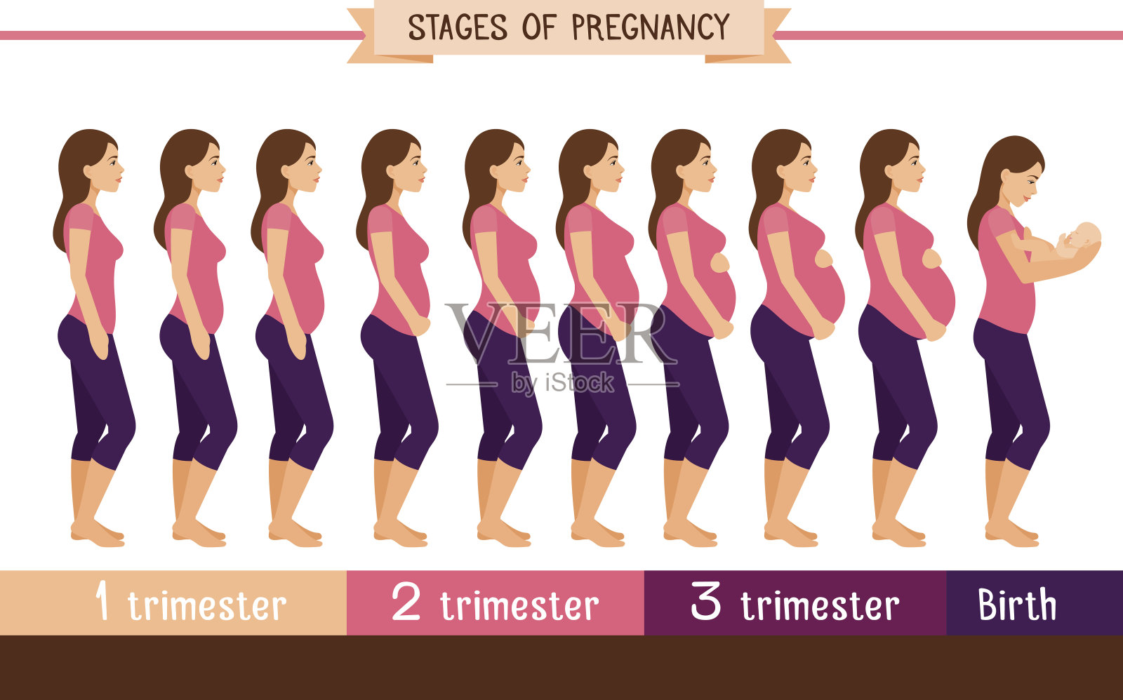 妊娠阶段平面矢量插图插画图片素材