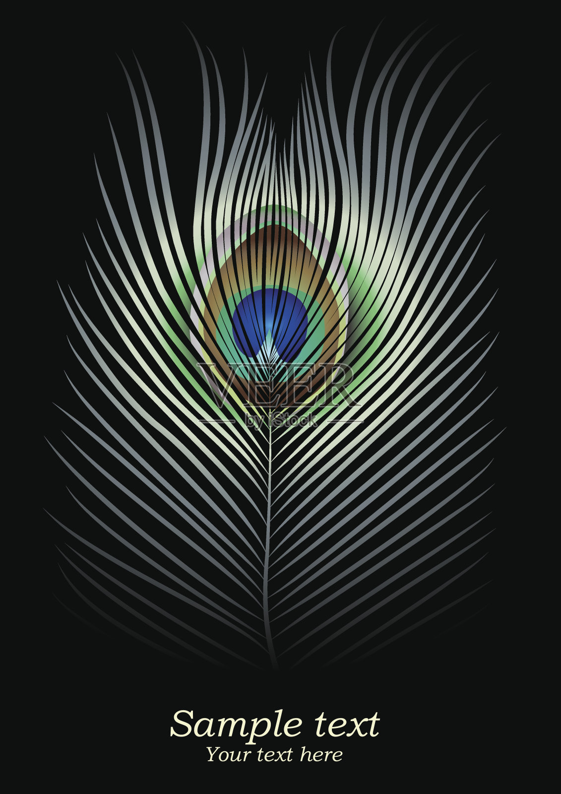 色彩斑斓的孔雀羽毛插画图片素材