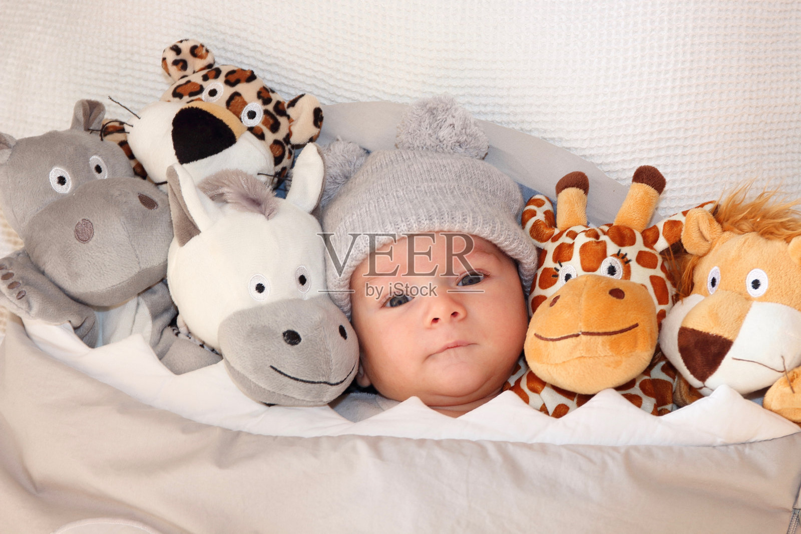 可爱的小婴儿躺在床上周围都是可爱的野生动物玩具照片摄影图片
