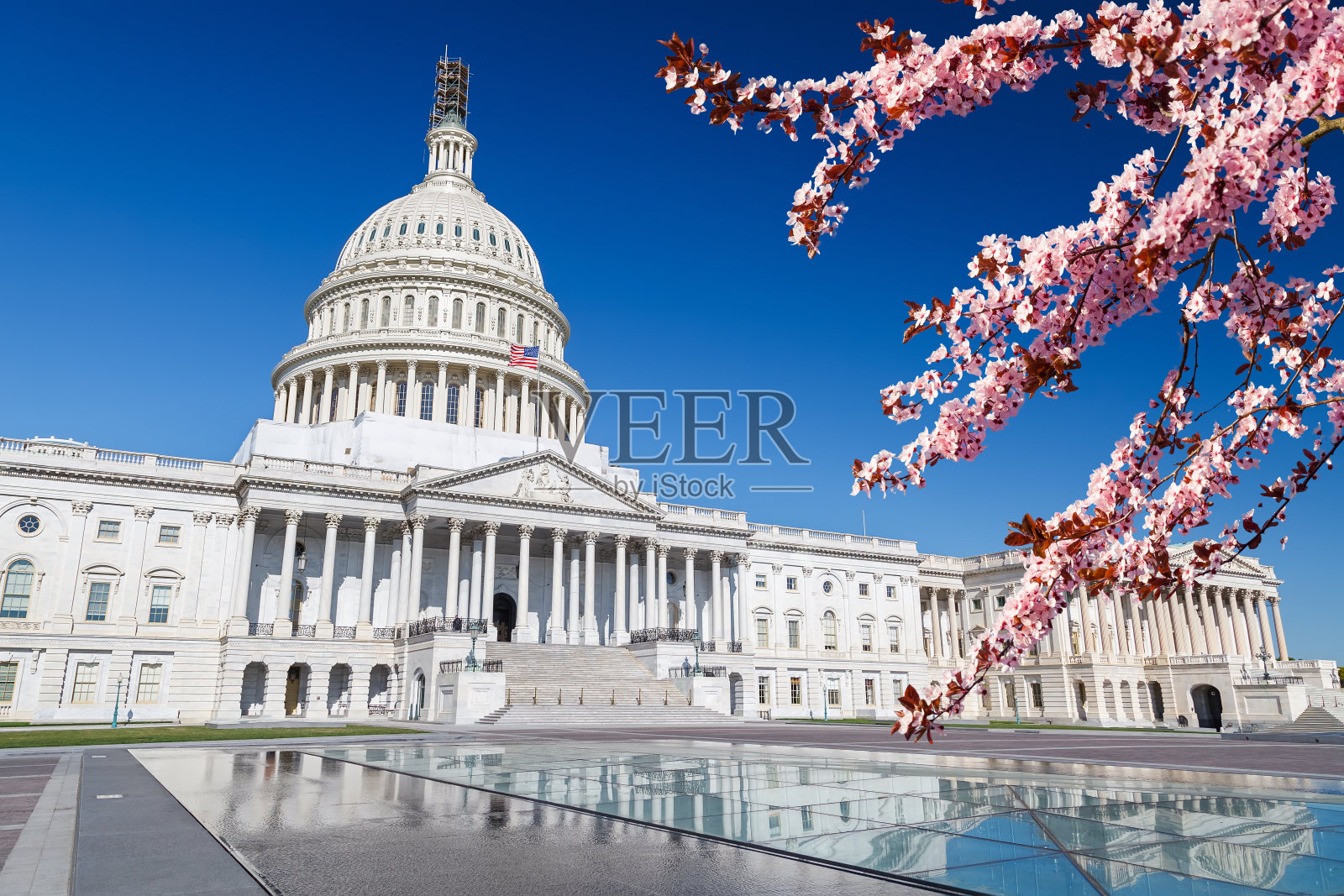 春天阳光明媚的美国国会大厦照片摄影图片