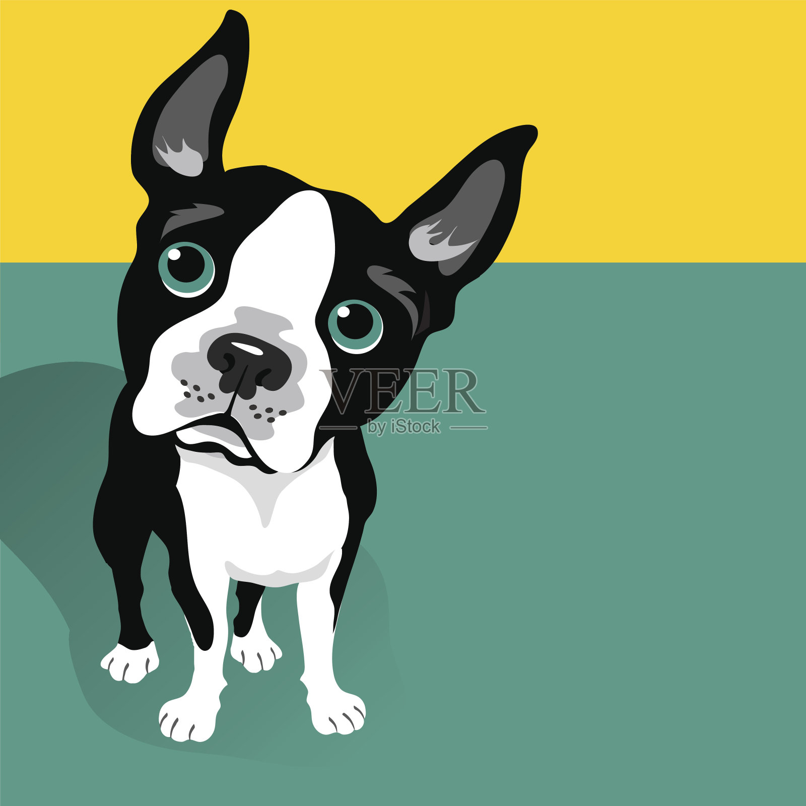 一个可爱的波士顿梗狗的矢量插图插画图片素材