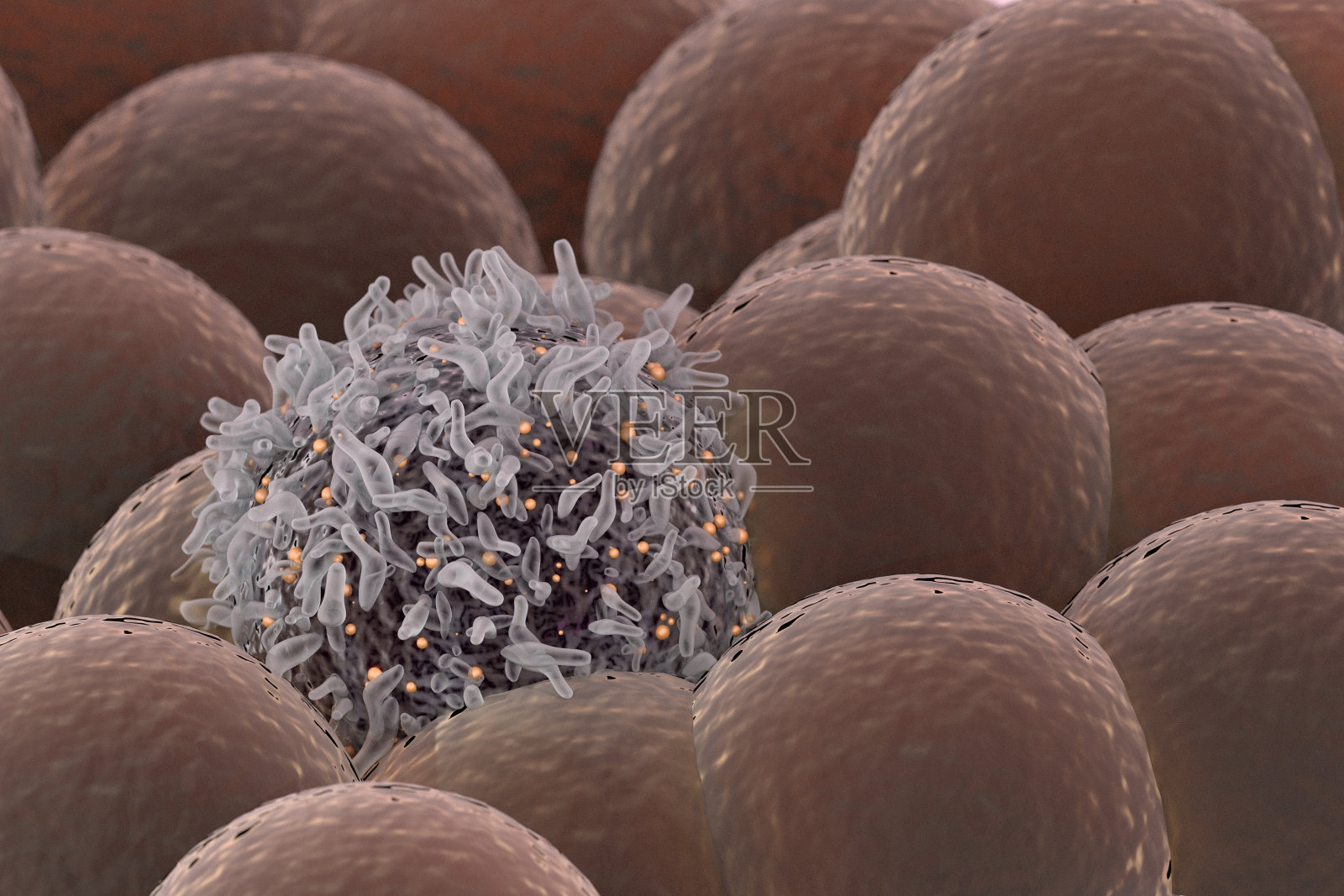 健康细胞中的癌细胞照片摄影图片