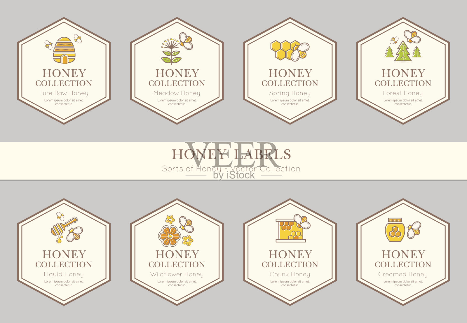 向量卡模板与天然蜂蜜标签插画图片素材