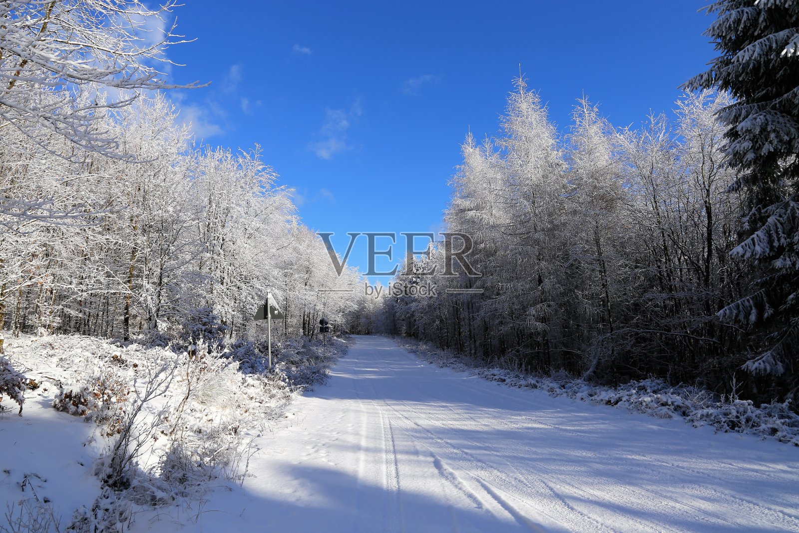 普法尔茨森林的冬天照片摄影图片
