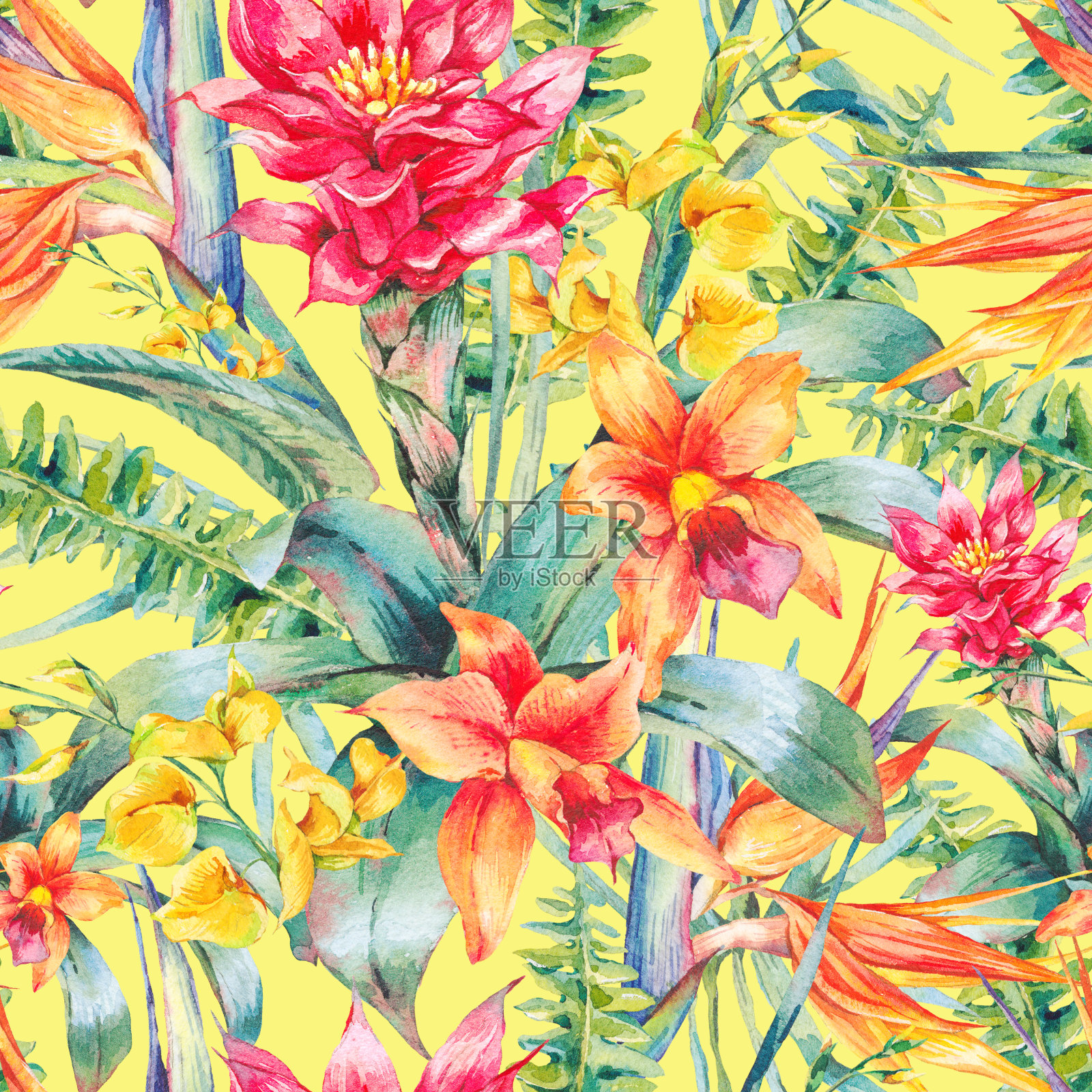 水彩复古热带花卉无缝图案插画图片素材