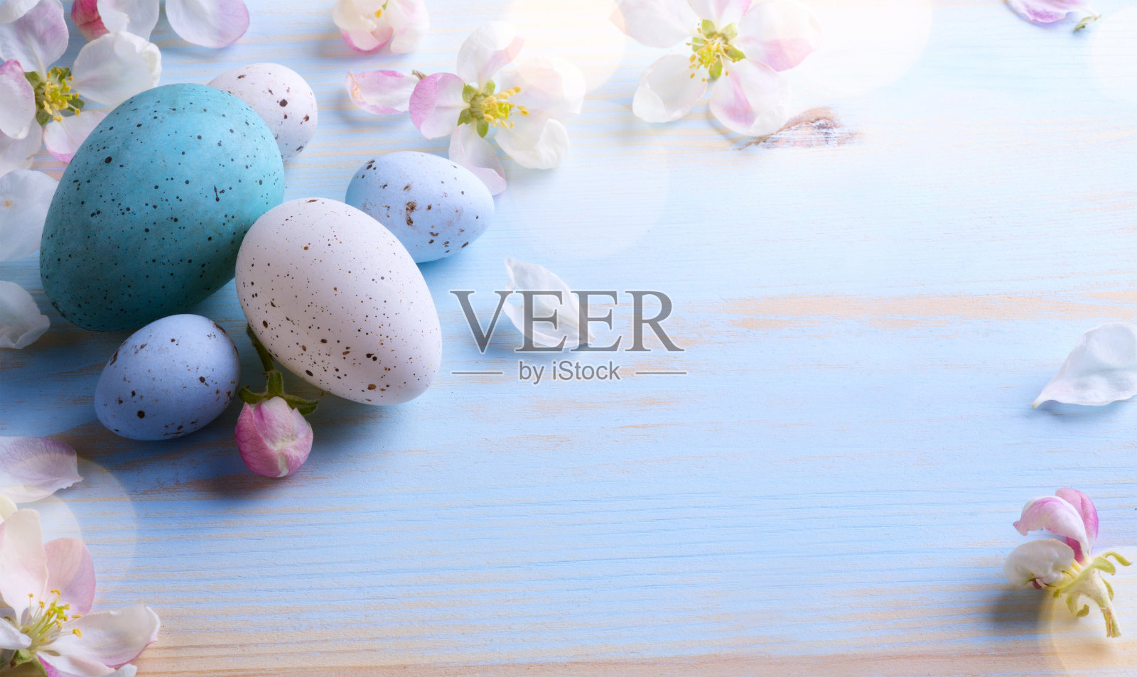 复活节背景与复活节彩蛋和春天的花。顶部视图与复制空间照片摄影图片