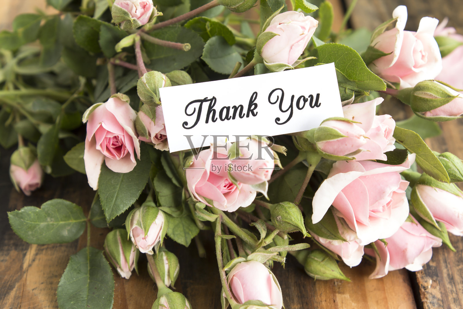 感谢卡和一束粉红色的玫瑰照片摄影图片